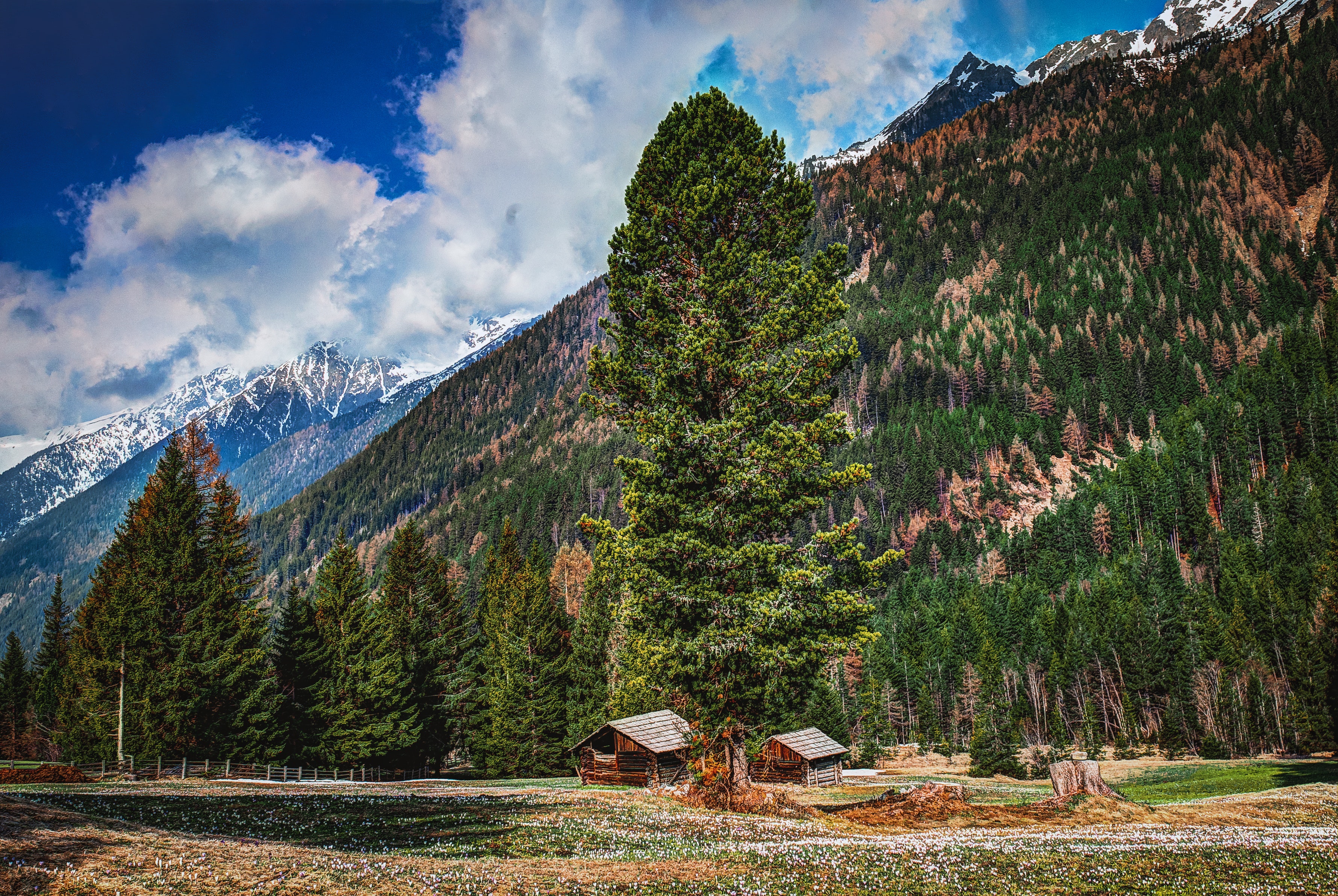 nature, trees, mountains, forest, buildings