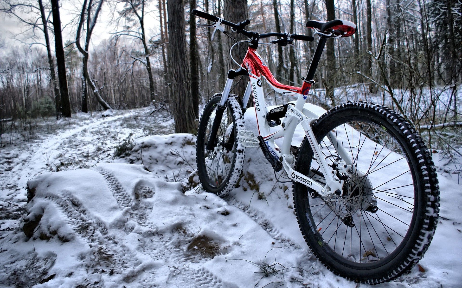 129804 скачать обои горный велосипед, спорт, снег, лес, следы - заставки и картинки бесплатно