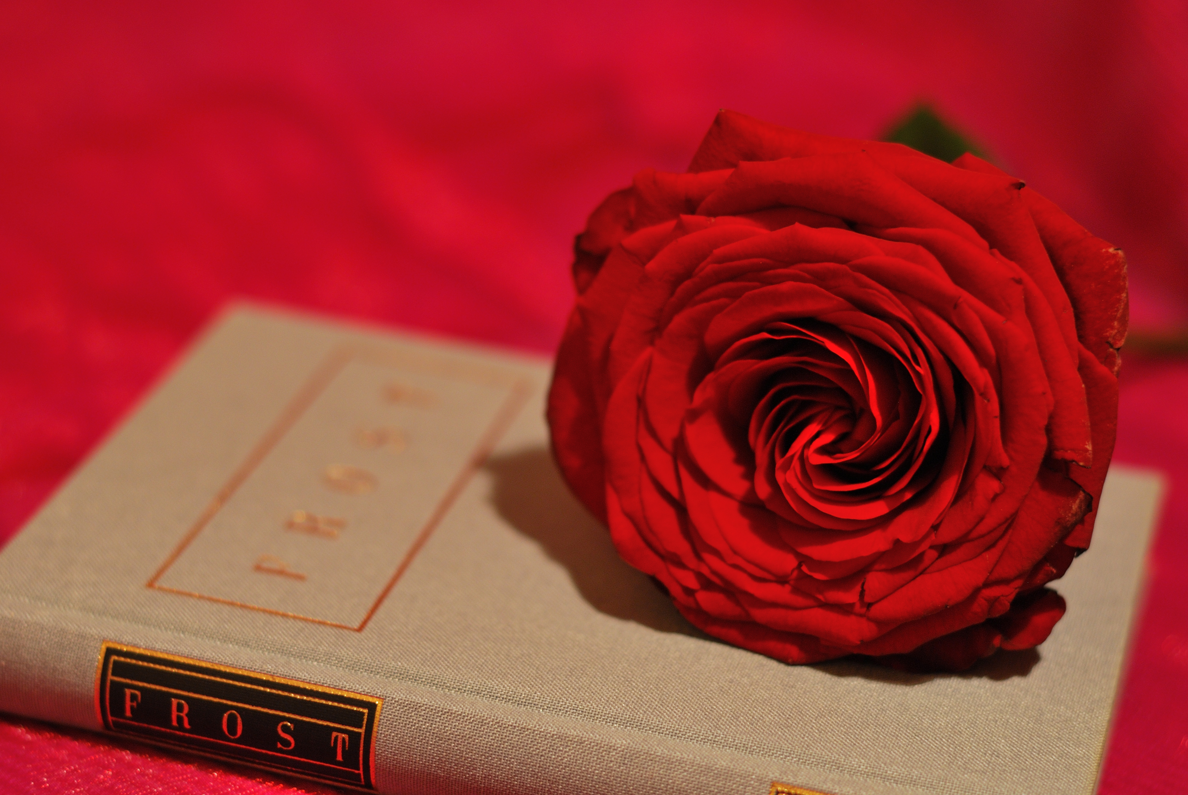 Download mobile wallpaper Still Life, Flower, Rose, Book, Photography, Red Rose, Red Flower for free.