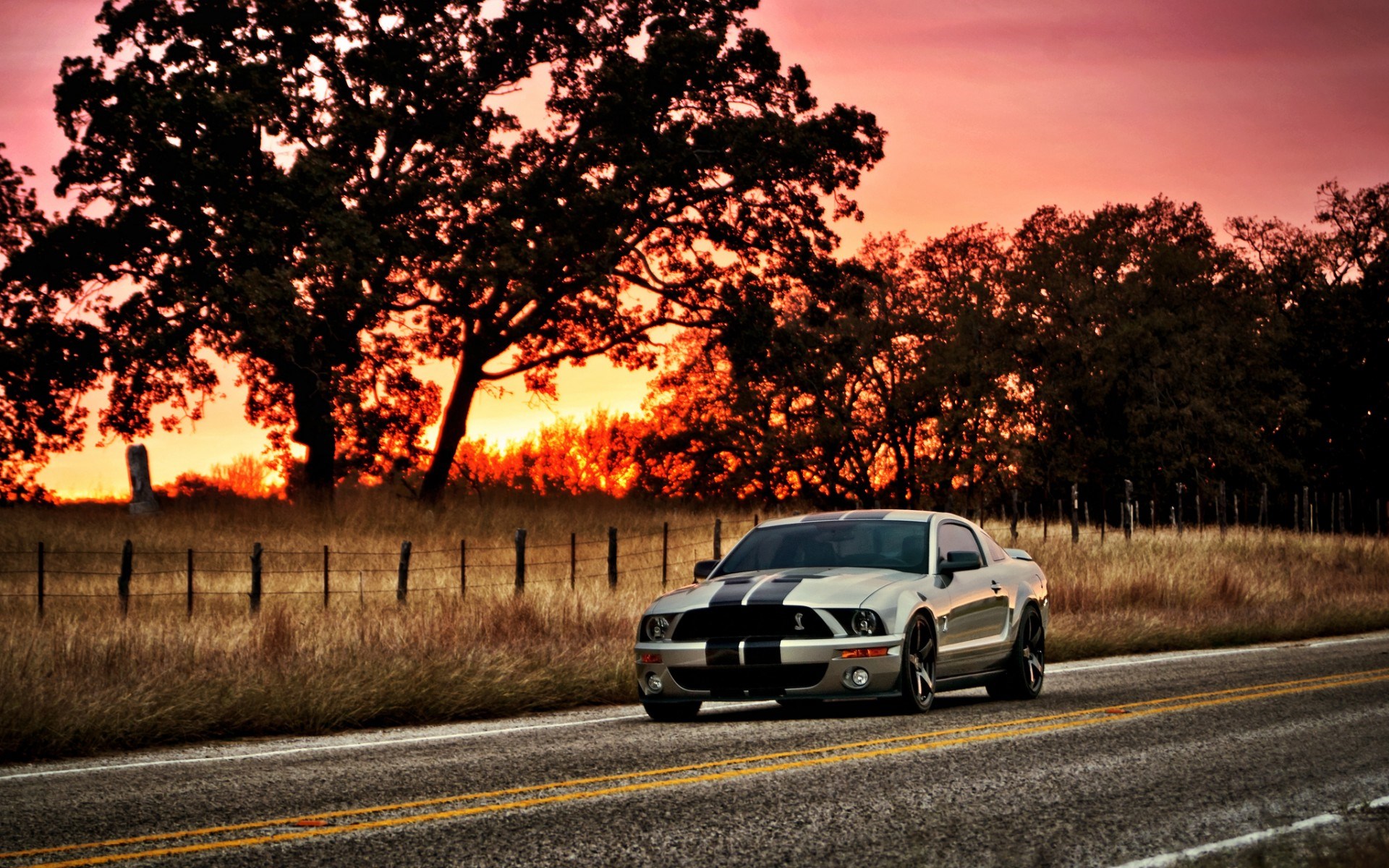 ford mustang shelby gt500, vehicles, ford