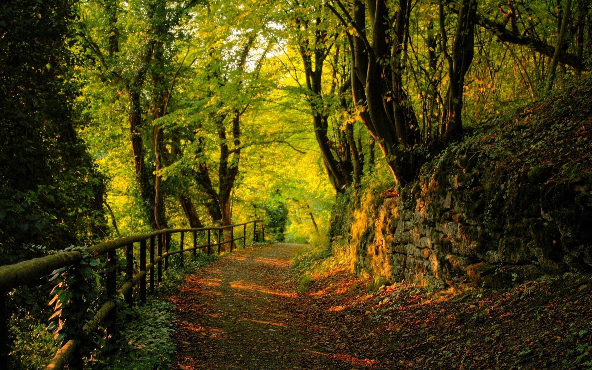 Free download wallpaper Nature, Trees, Path, Trail, Stones, Autumn, Forest, Leaves on your PC desktop