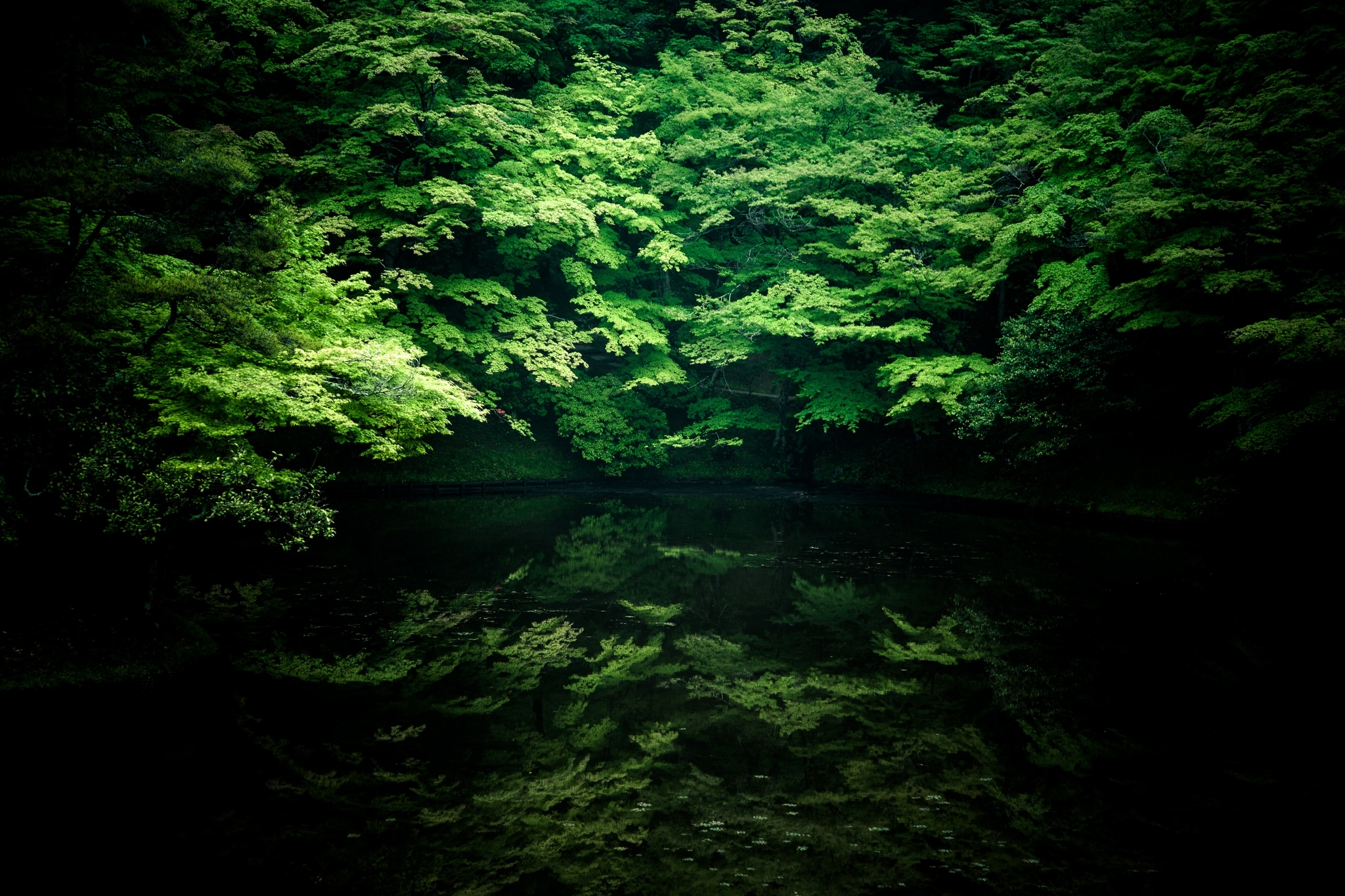 Download mobile wallpaper Trees, Nature, Rivers, Shadow for free.