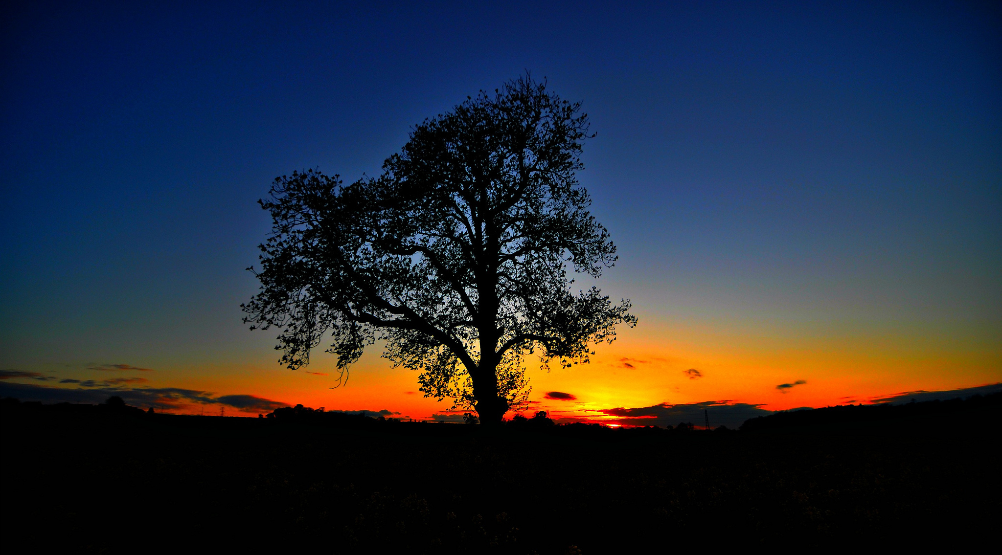 Download mobile wallpaper Nature, Trees, Sunset, Sky, Silhouette, Tree, Earth, Lonely Tree for free.