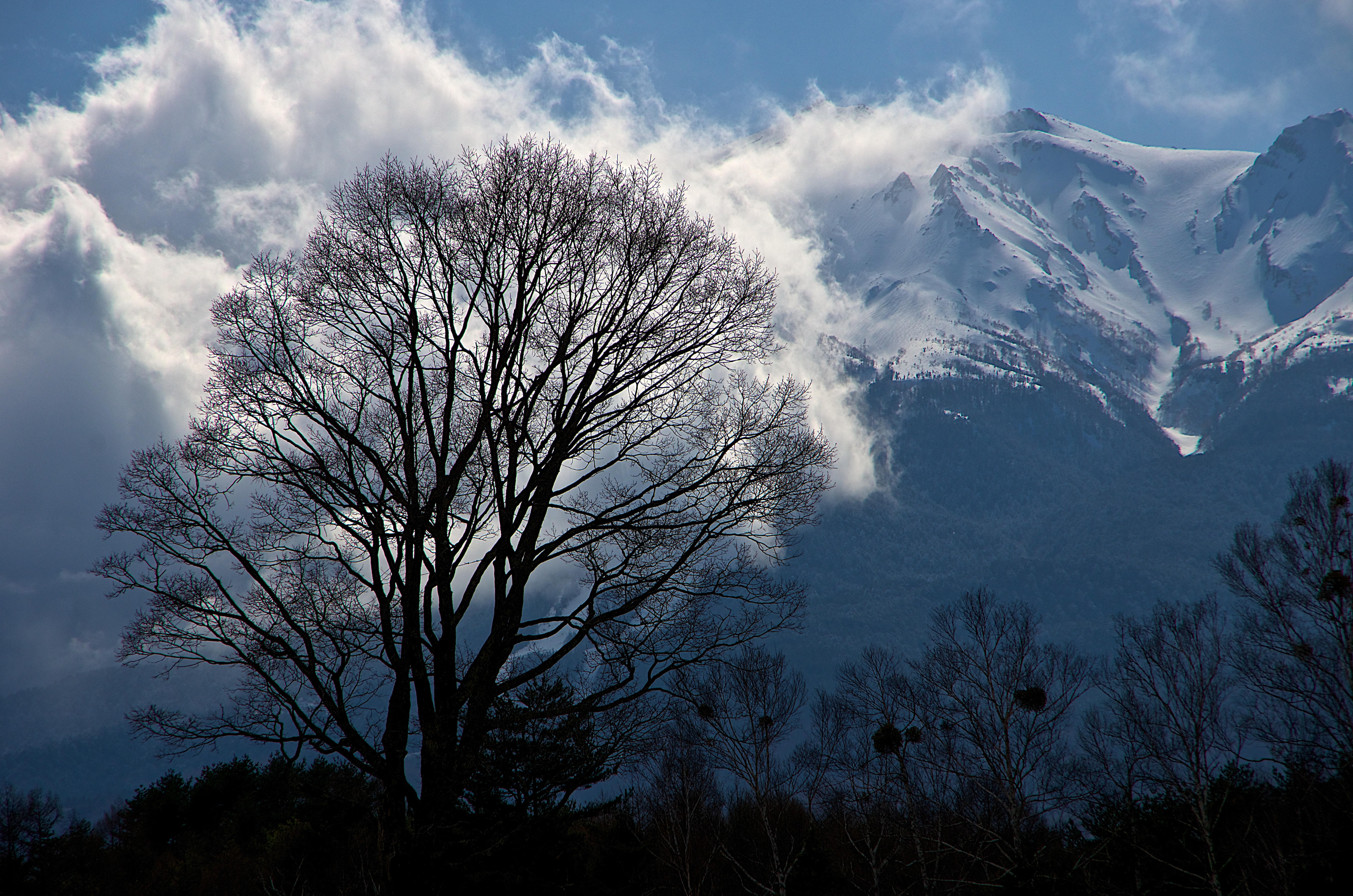 Handy-Wallpaper Winter, Schnee, Baum, Gebirge, Wolke, Erde/natur kostenlos herunterladen.