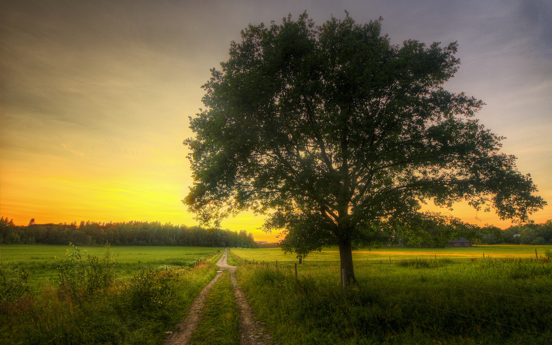 Free download wallpaper Sunset, Road, Tree, Field, Spring, Man Made on your PC desktop