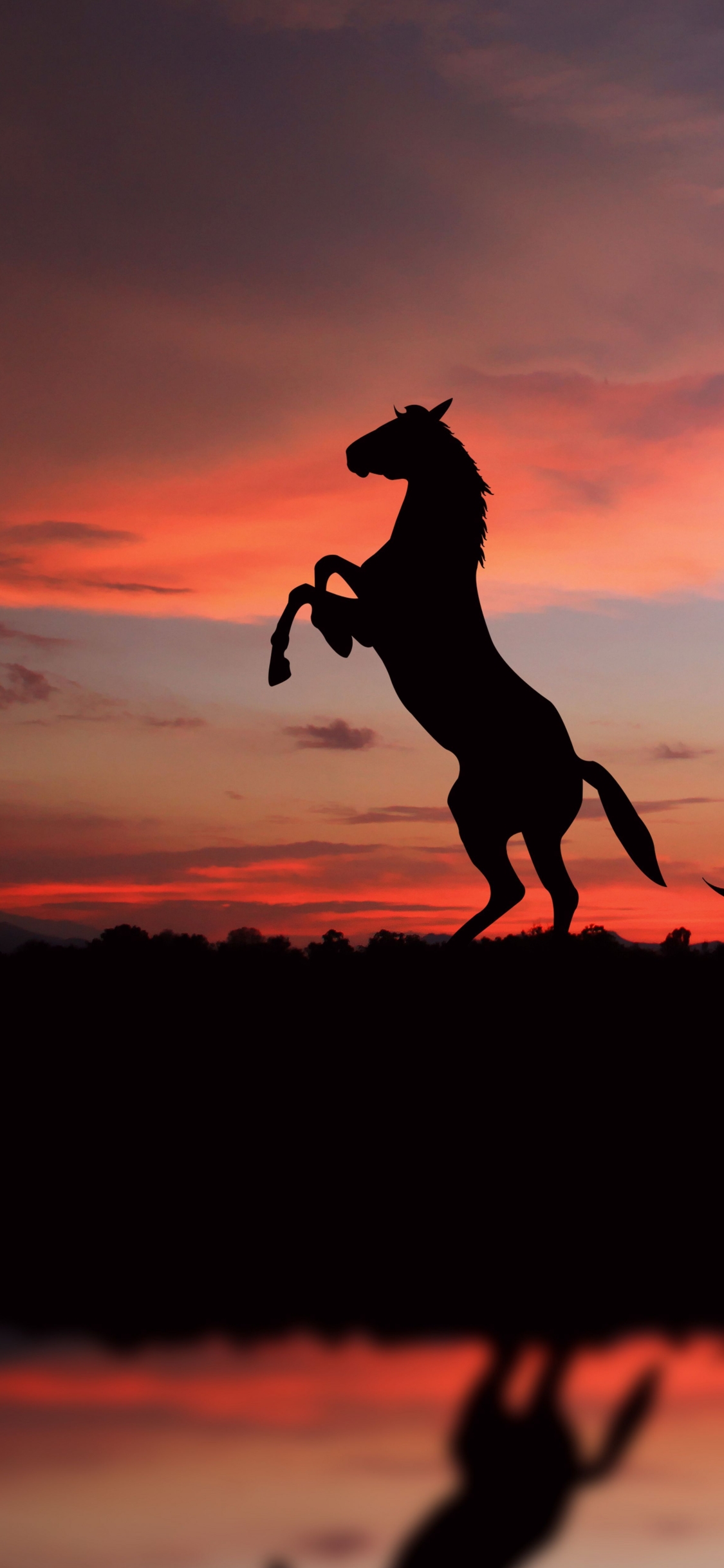 Download mobile wallpaper Sunset, Silhouette, Animal, Horse for free.