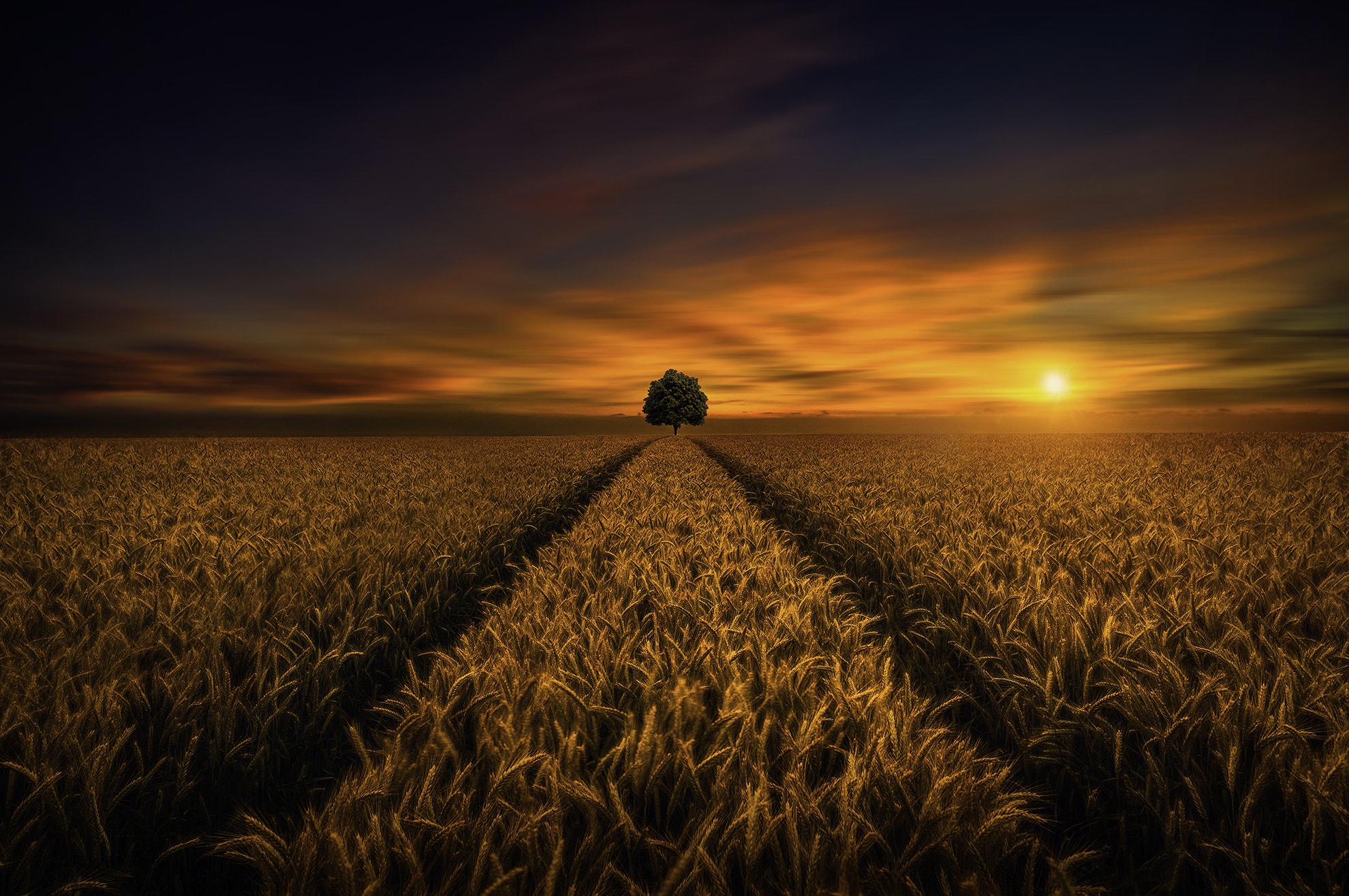 Download mobile wallpaper Landscape, Nature, Sunset, Wheat, Tree, Earth, Field for free.