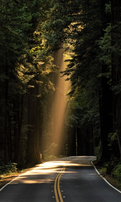 Download mobile wallpaper Nature, Road, Sunlight, Sunbeam, Man Made, Sunshine, Sunbean for free.