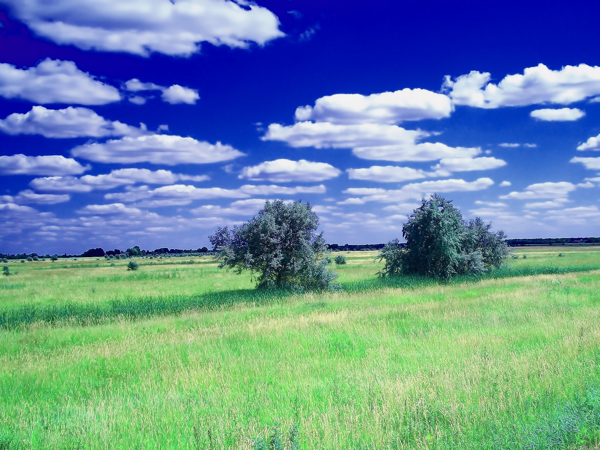 147852 Bild herunterladen sommer, clouds, natur, bäume, grass, sky, feld - Hintergrundbilder und Bildschirmschoner kostenlos