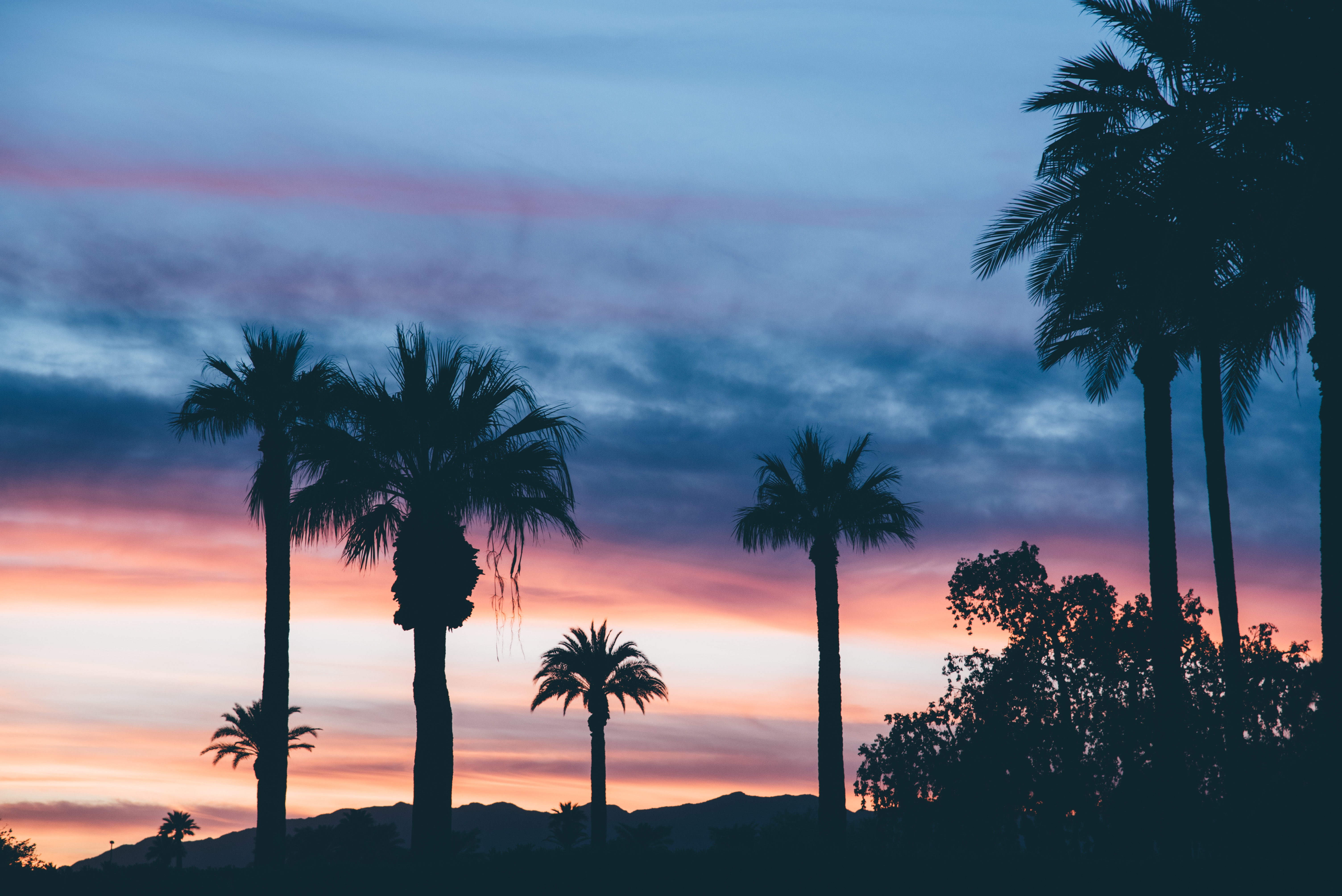 Download mobile wallpaper Sky, Nature, Sunset, Palms for free.