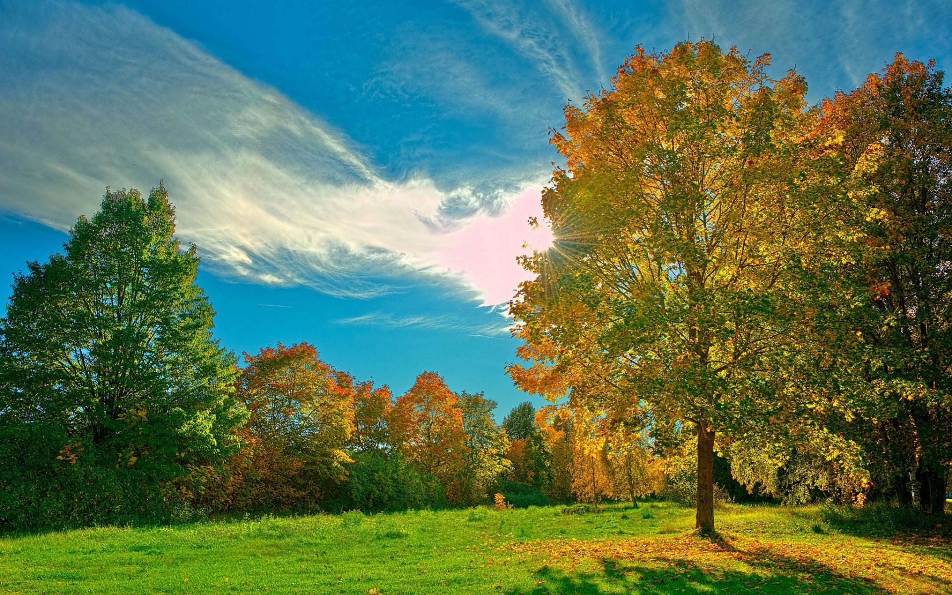 Handy-Wallpaper Landschaft, Clouds, Bäume, Sky, Herbst kostenlos herunterladen.