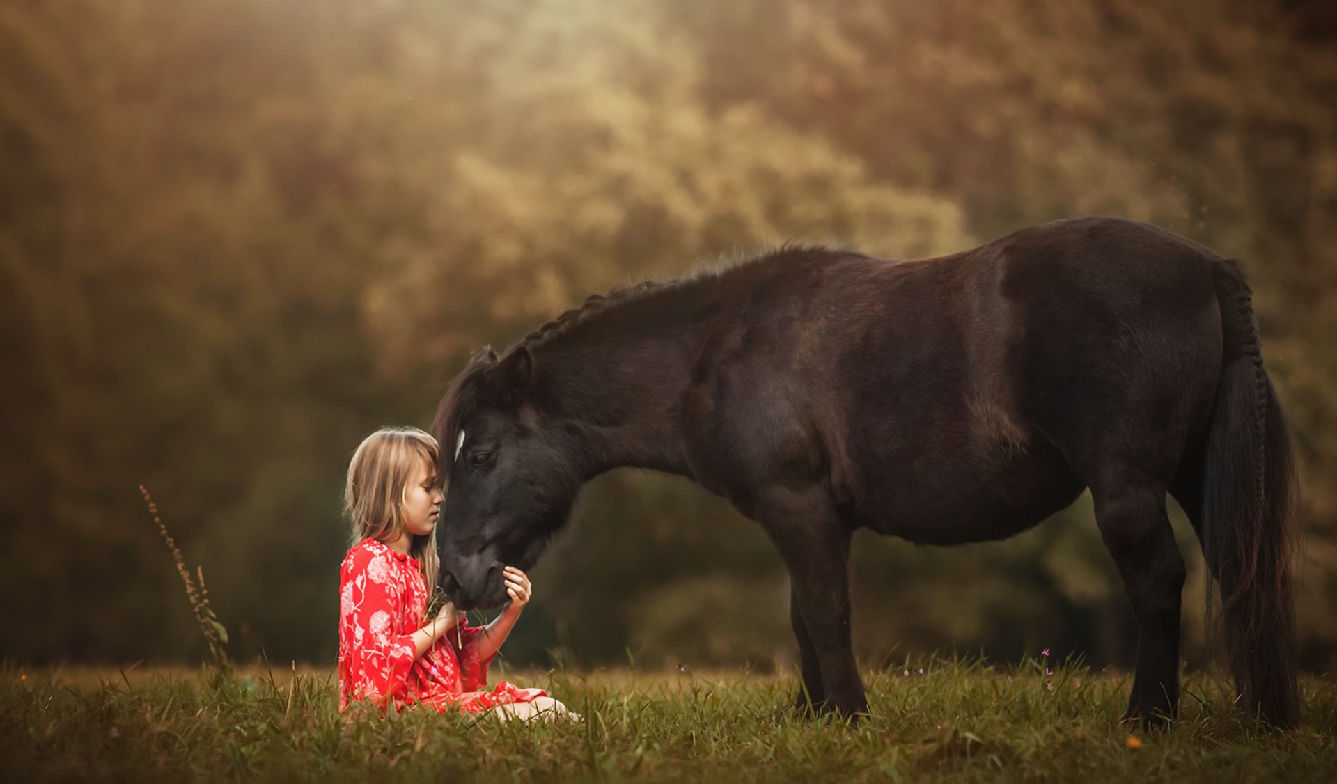 885813 скачать обои лошадь, фотографии, ребенок, блондинка, глубина резкости, друг, малышка - заставки и картинки бесплатно