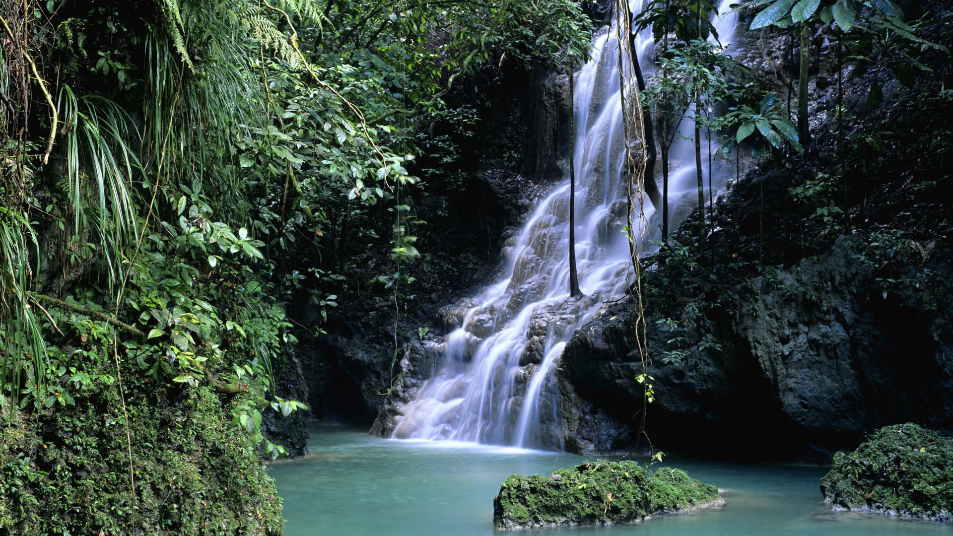85355 скачать обои водопад, природа, листья, растительность, зелень, мох, ущелье - заставки и картинки бесплатно