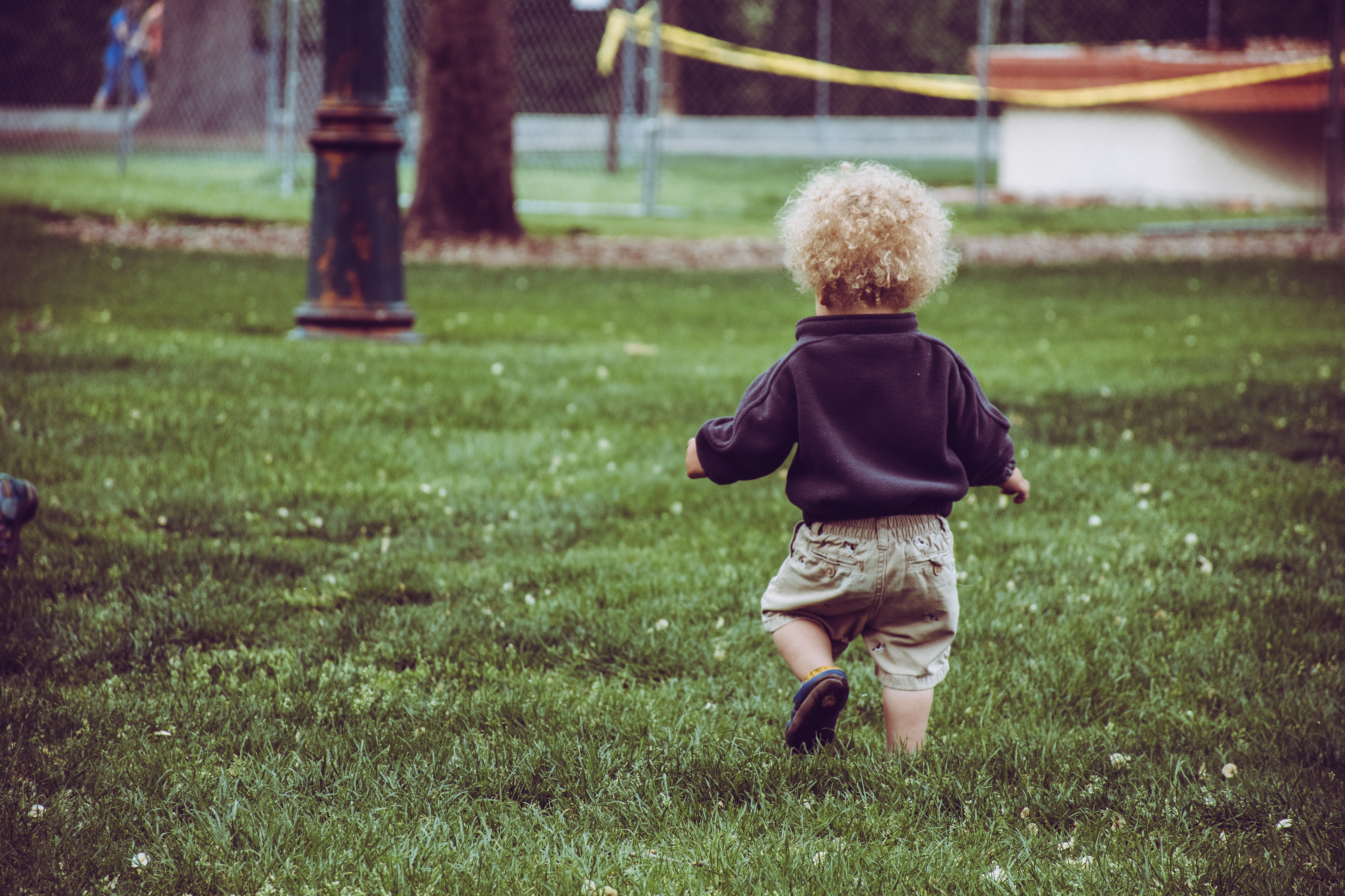 grass, miscellanea, miscellaneous, curly, stroll, kid, tot, child, childhood