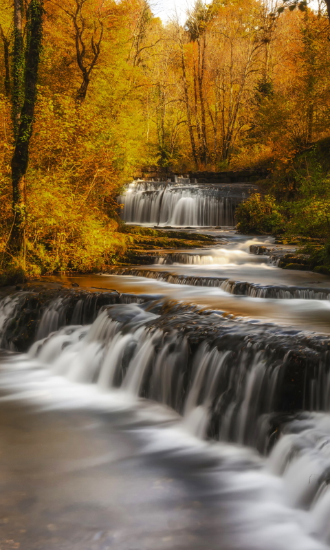 Скачать картинку Осень, Водопады, Водопад, Лес, Дерево, Падать, Земля/природа в телефон бесплатно.