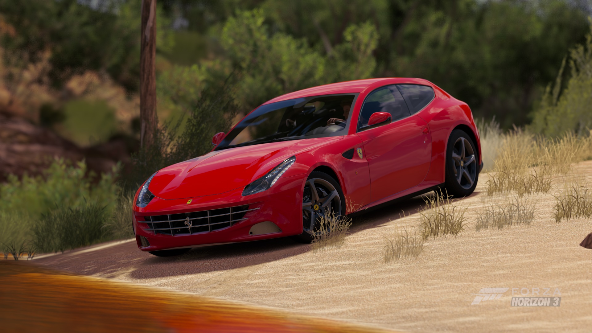 Скачати мобільні шпалери Феррарі, Відеогра, Ferrari Ff, Forza Horizon 3, Forza безкоштовно.