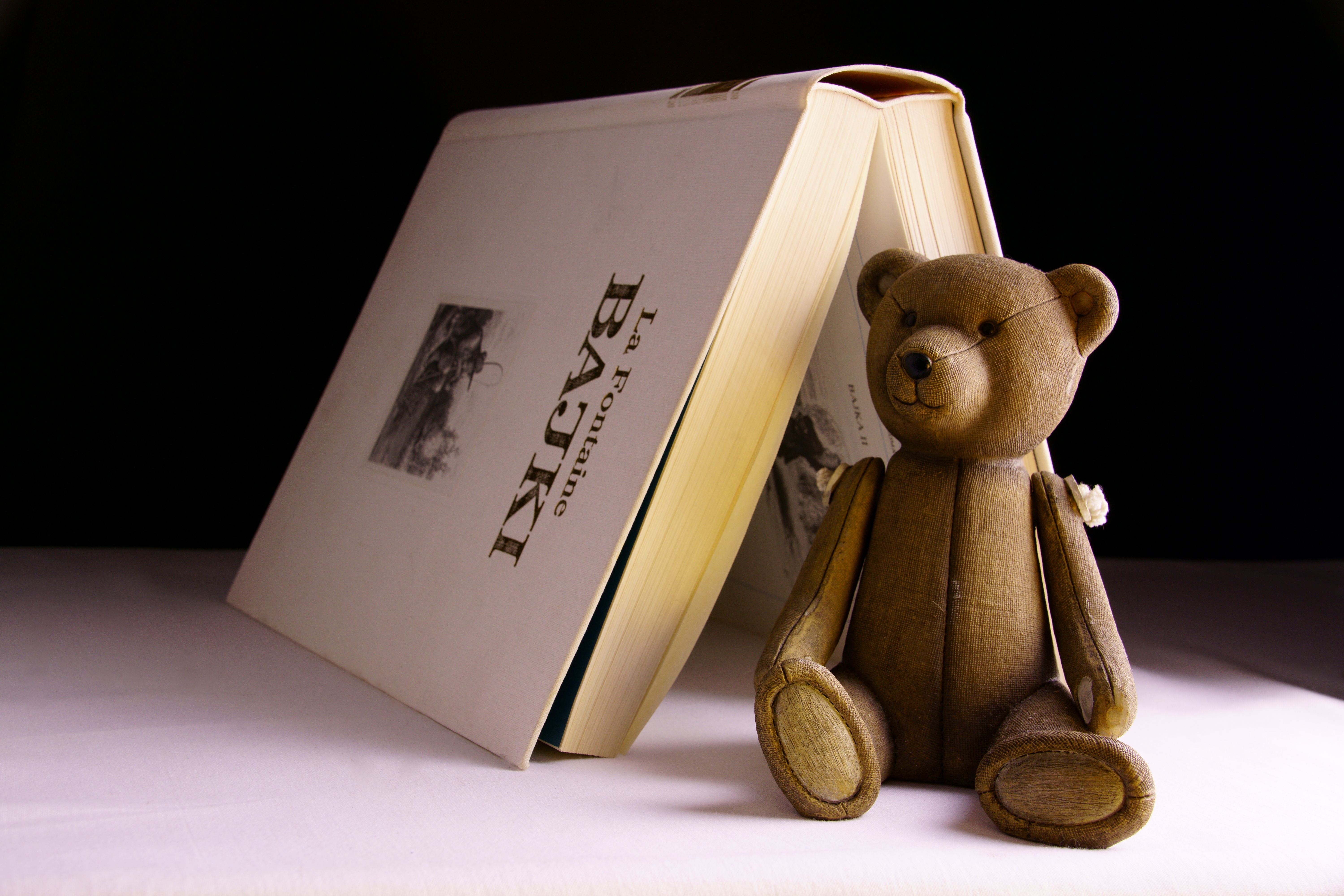 Download mobile wallpaper Miscellaneous, Miscellanea, Toy, Bear, Book for free.