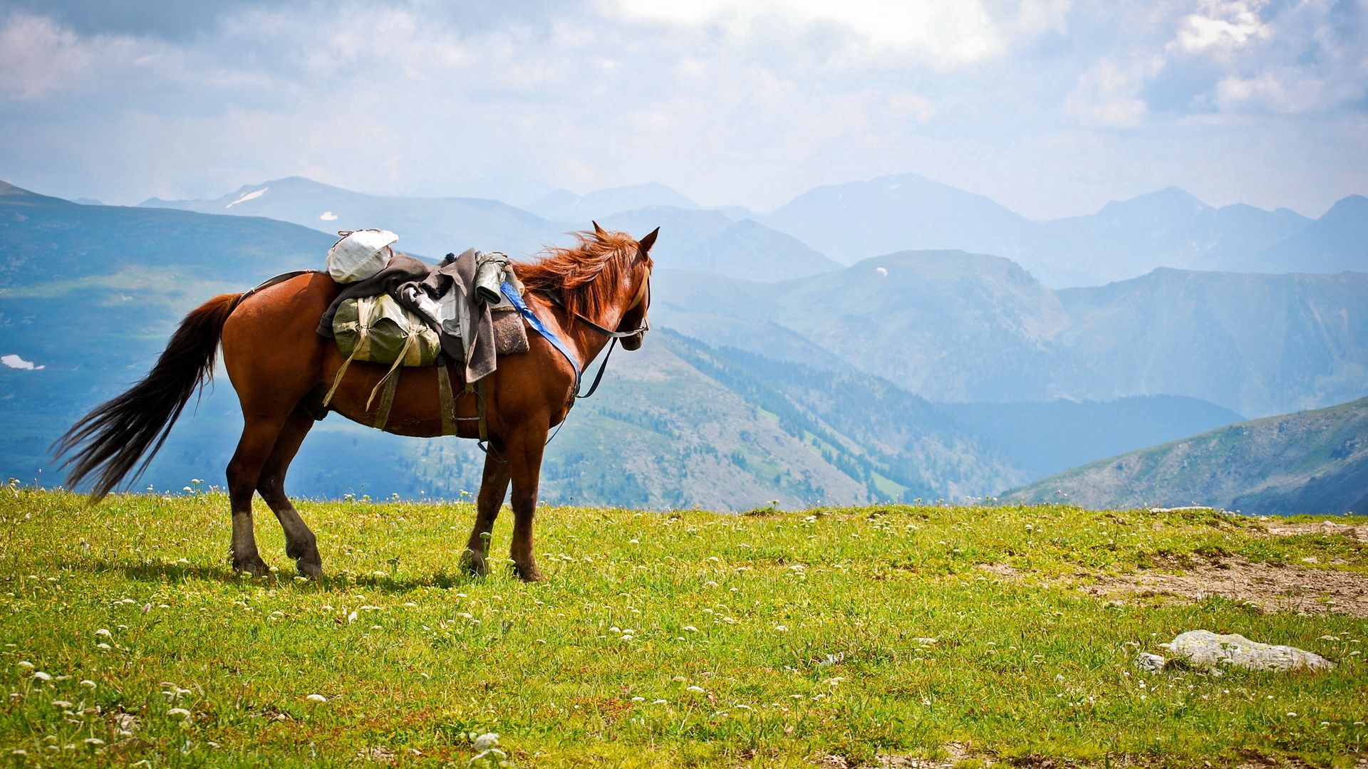 132810 скачать картинку животные, горы, конь, седло - обои и заставки бесплатно