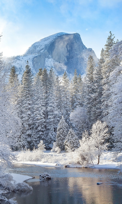 Handy-Wallpaper Winter, Schnee, Wald, Fluss, Erde/natur kostenlos herunterladen.