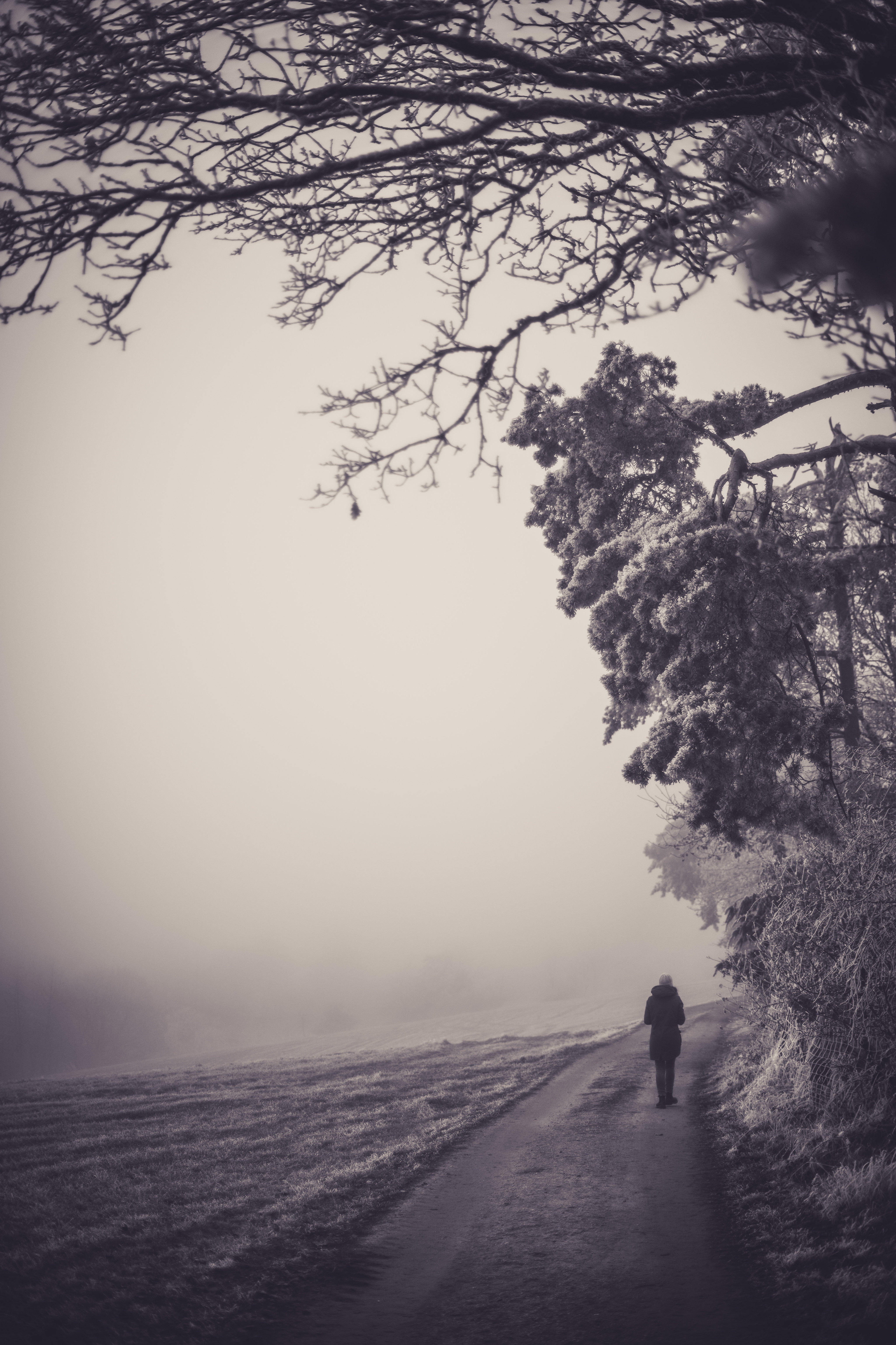 Download background miscellaneous, person, nature, miscellanea, fog, human, loneliness