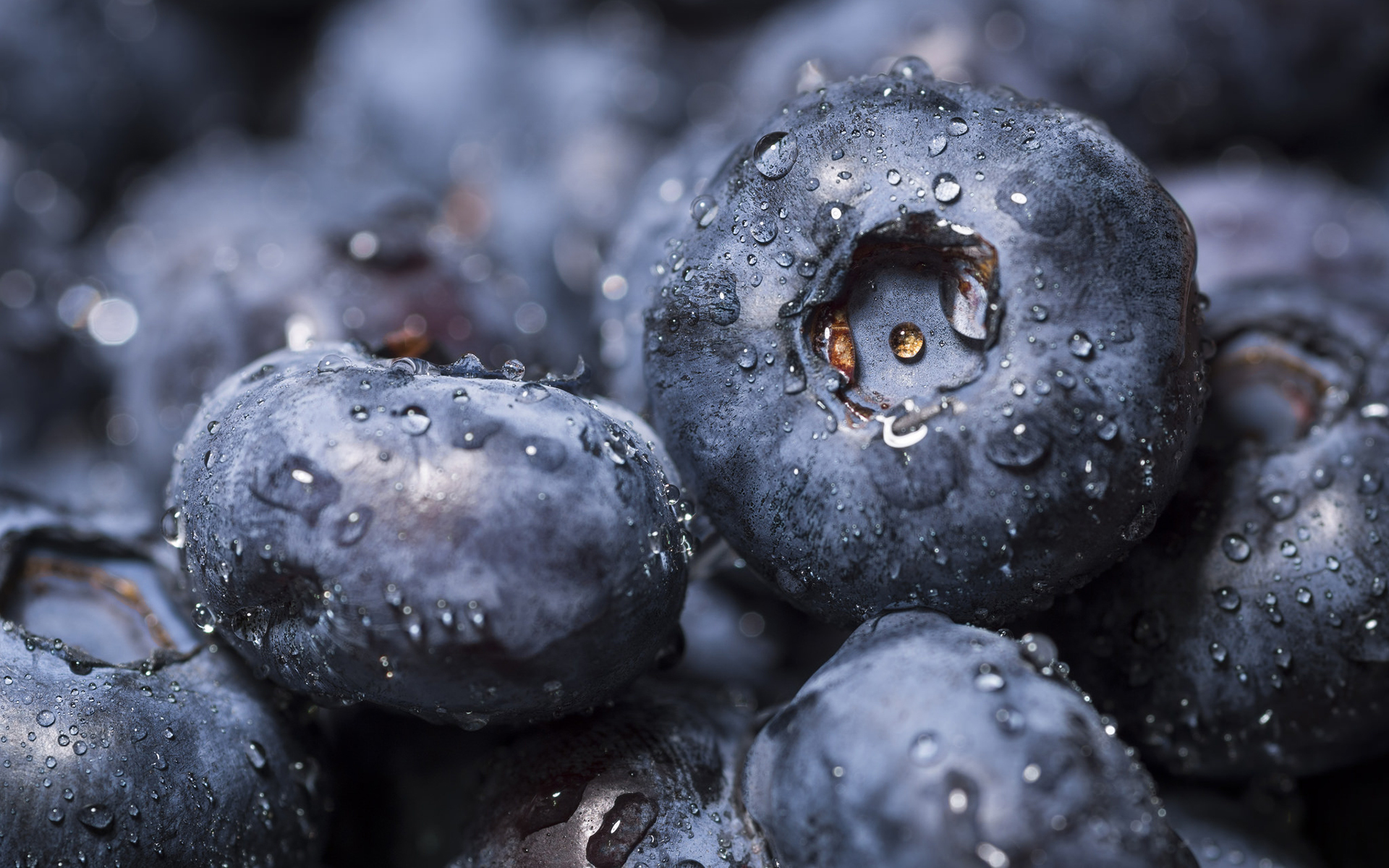 Free download wallpaper Food, Blueberry on your PC desktop