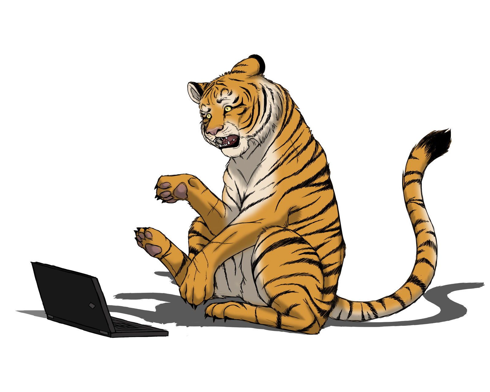 Descarga gratis la imagen Gatos, Animales, Tigre en el escritorio de tu PC