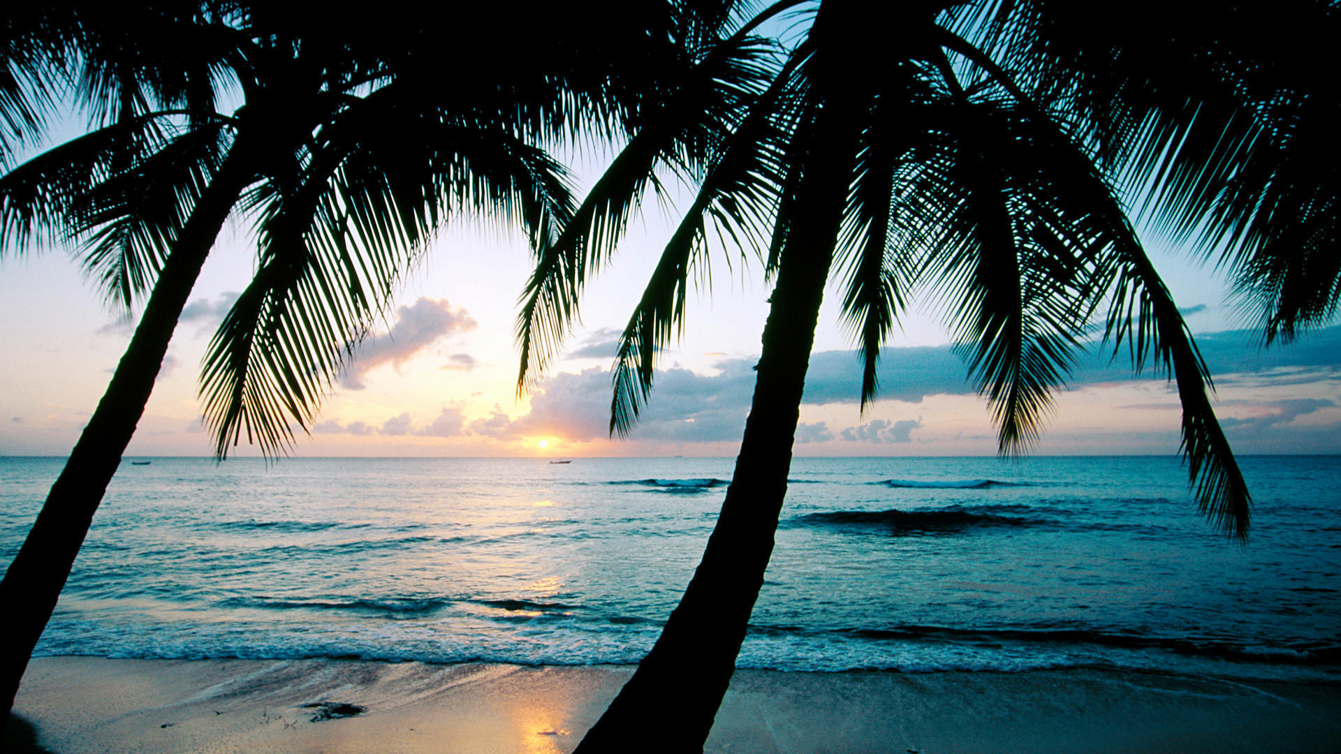 Téléchargez gratuitement l'image Plage, Terre/nature sur le bureau de votre PC