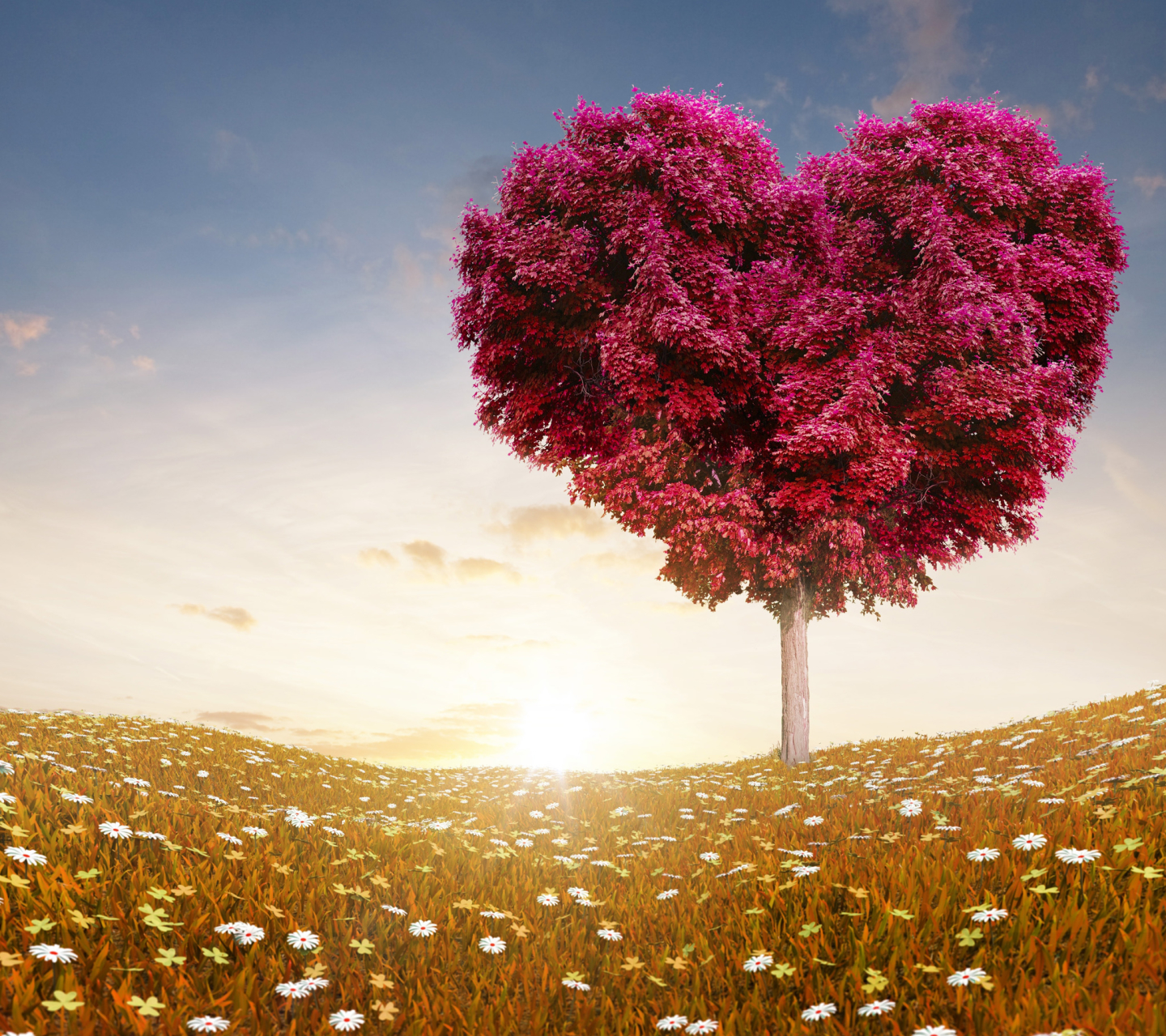 Download mobile wallpaper Love, Tree, Field, Heart, Artistic for free.