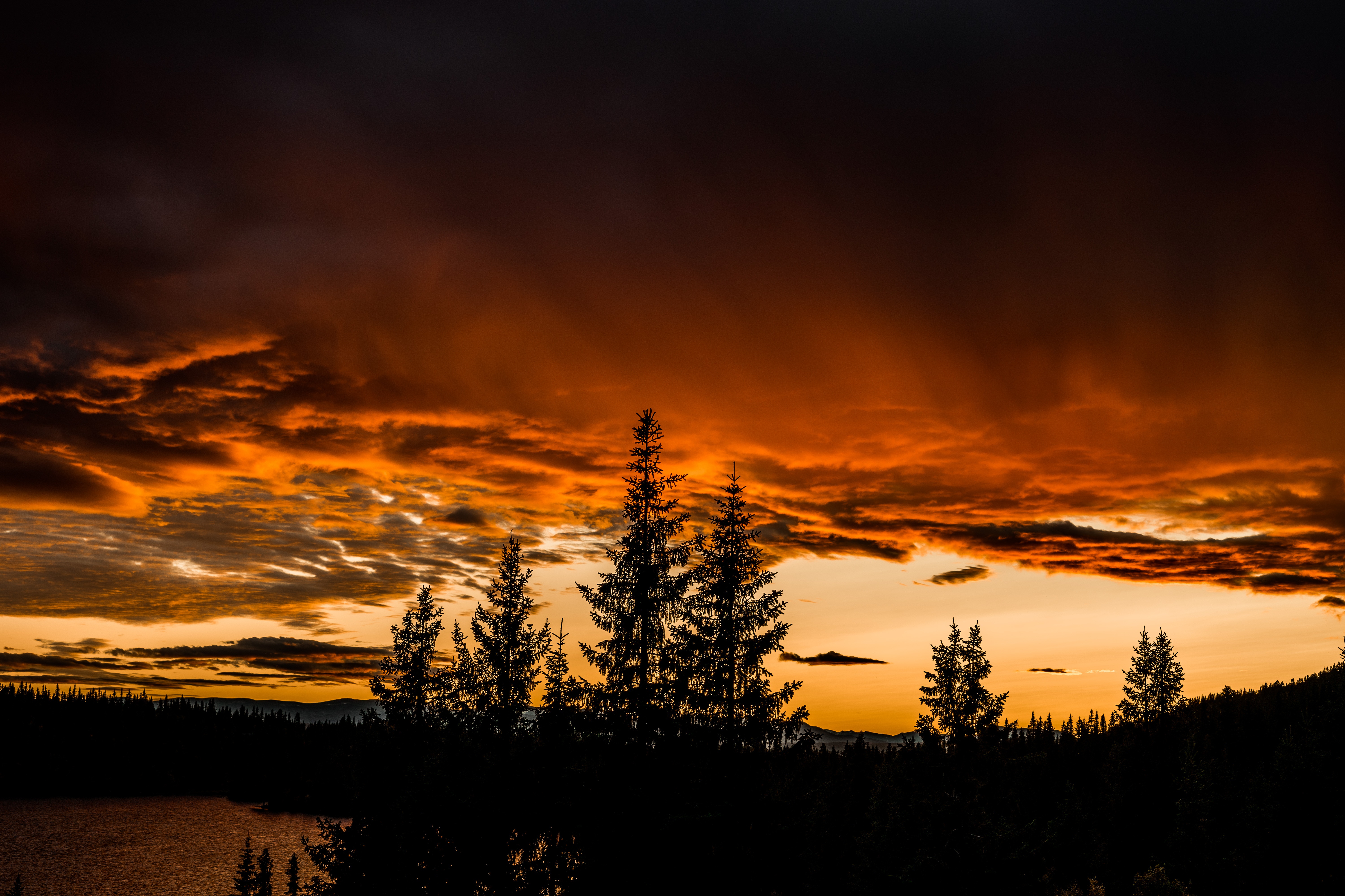 Laden Sie das Natur, Bäume, Sunset, Sky-Bild kostenlos auf Ihren PC-Desktop herunter