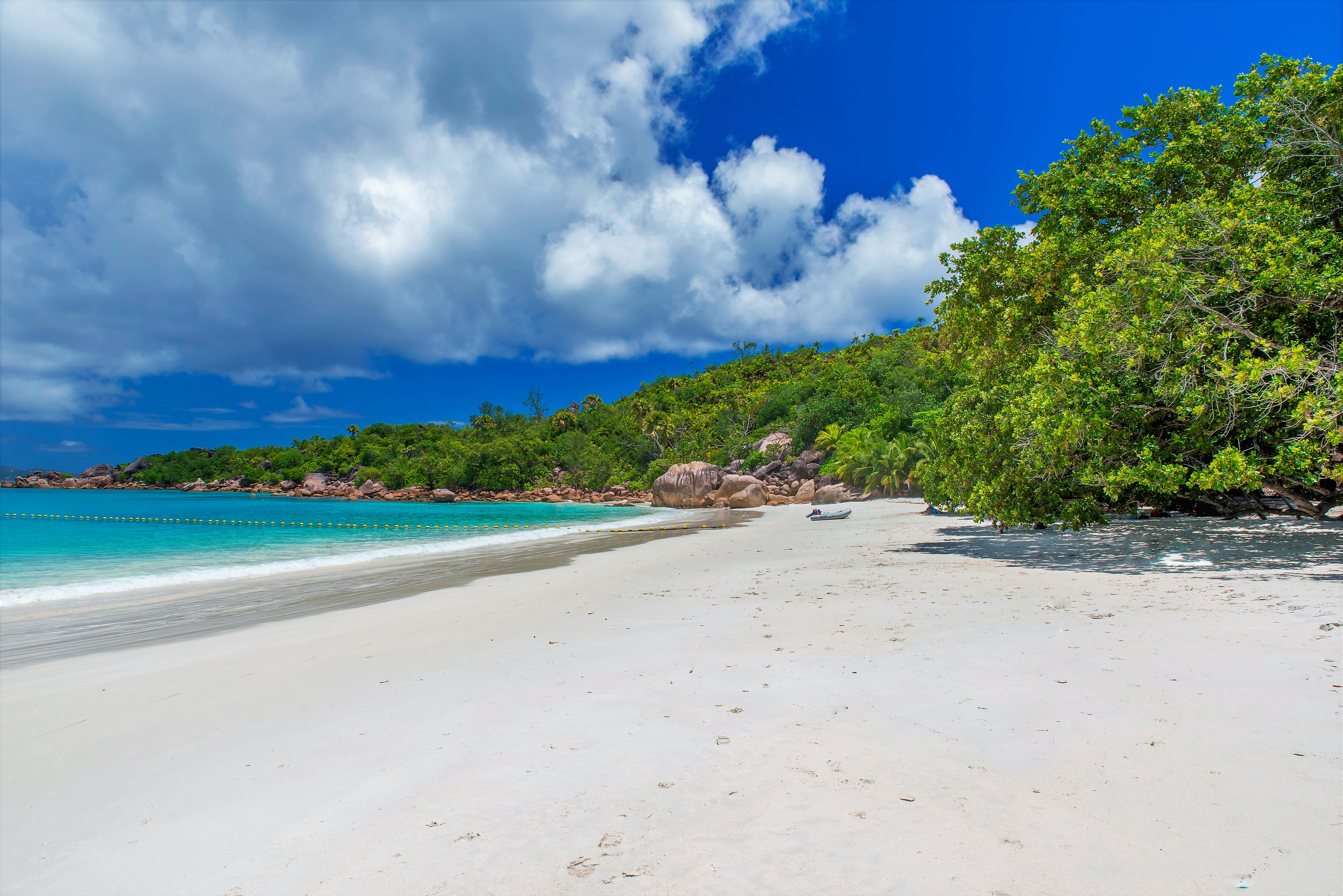 Descarga gratis la imagen Playa, Árbol, Tierra/naturaleza, Tropico en el escritorio de tu PC