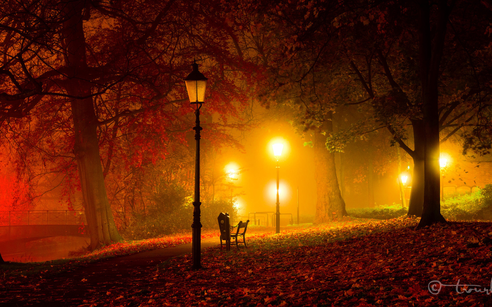 Free download wallpaper Landscape, Trees, Leaves, Night, Streets on your PC desktop