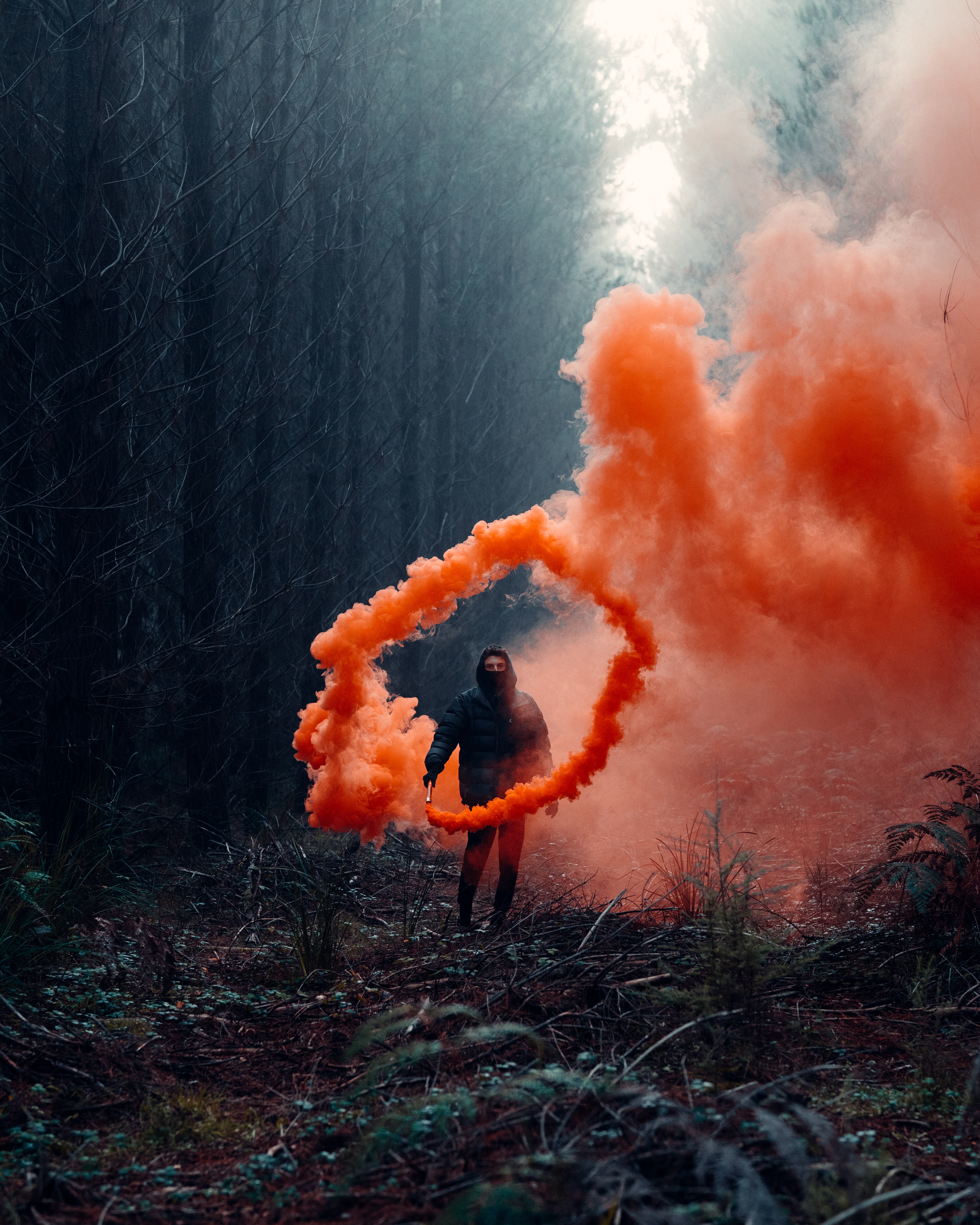 person, smoke bomb, human, smoke, miscellanea, miscellaneous, forest, cloud