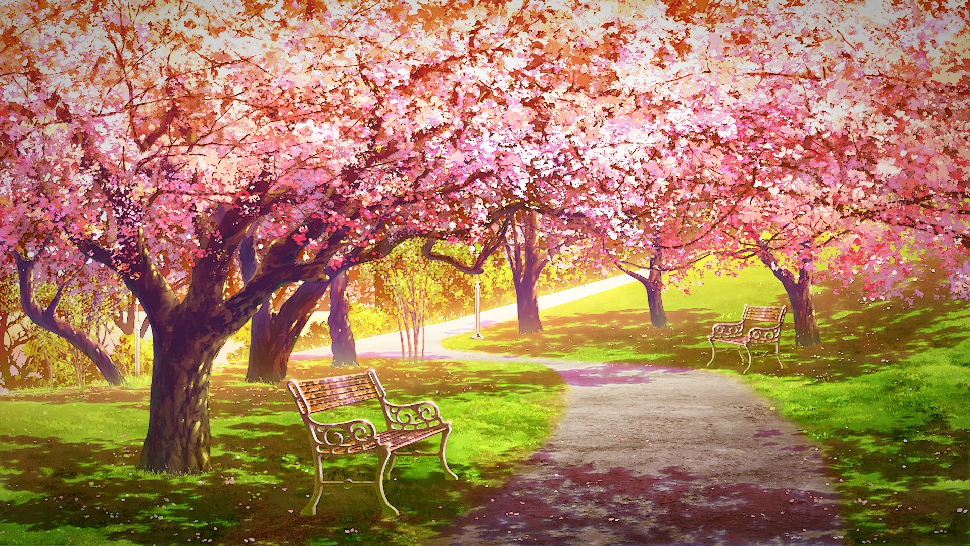 Laden Sie das Sakura, Pfad, Original, Animes-Bild kostenlos auf Ihren PC-Desktop herunter