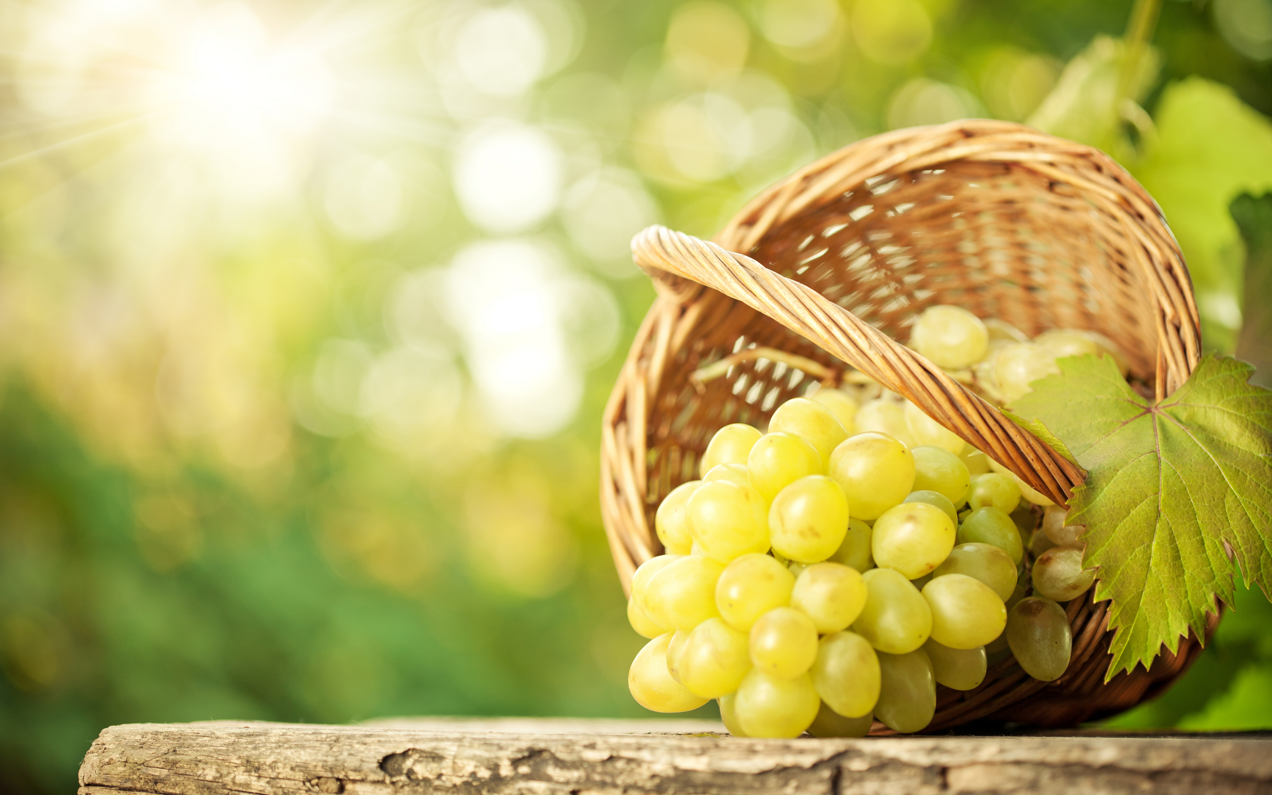 Free download wallpaper Food, Grapes on your PC desktop