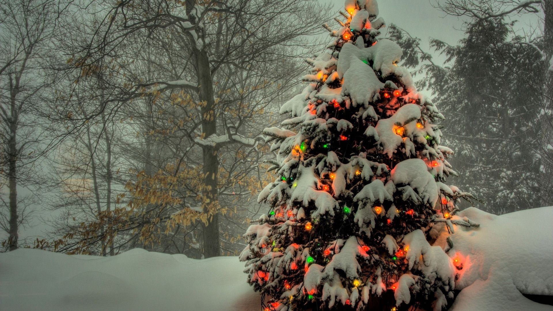 Téléchargez des papiers peints mobile Arbre De Noël, Jouets, Briller, Fêtes, Sapin De Noël, Neige, Lumière gratuitement.