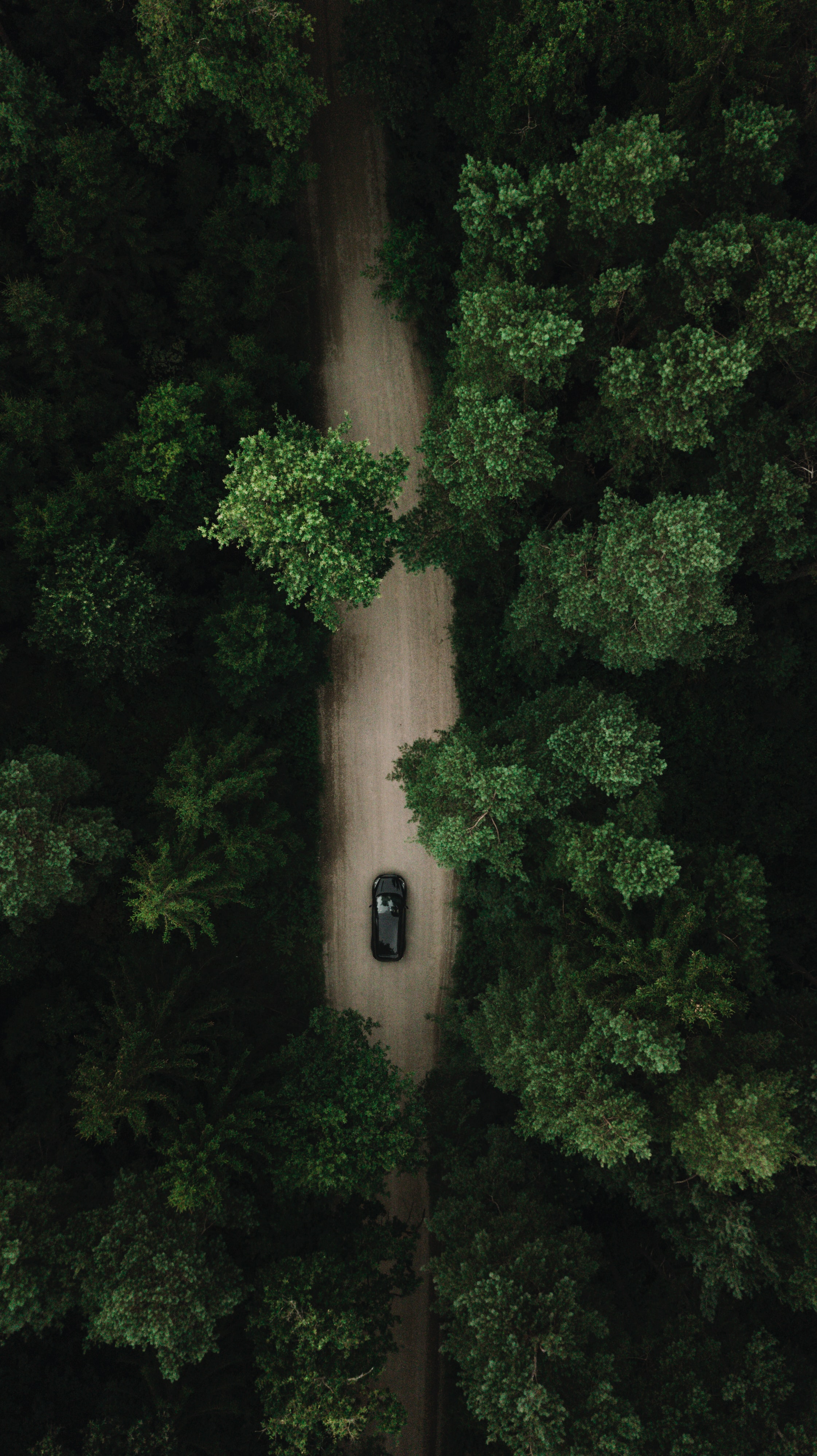 Free download wallpaper Nature, Trees, View From Above, Road, Forest, Car, Machine on your PC desktop
