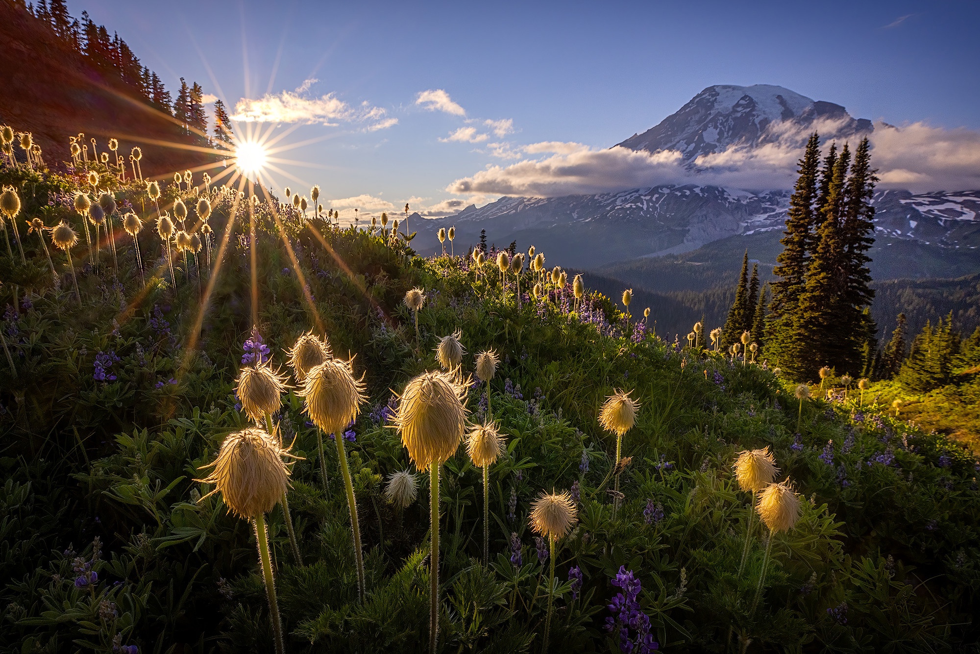 Laden Sie das Landschaft, Erde/natur-Bild kostenlos auf Ihren PC-Desktop herunter