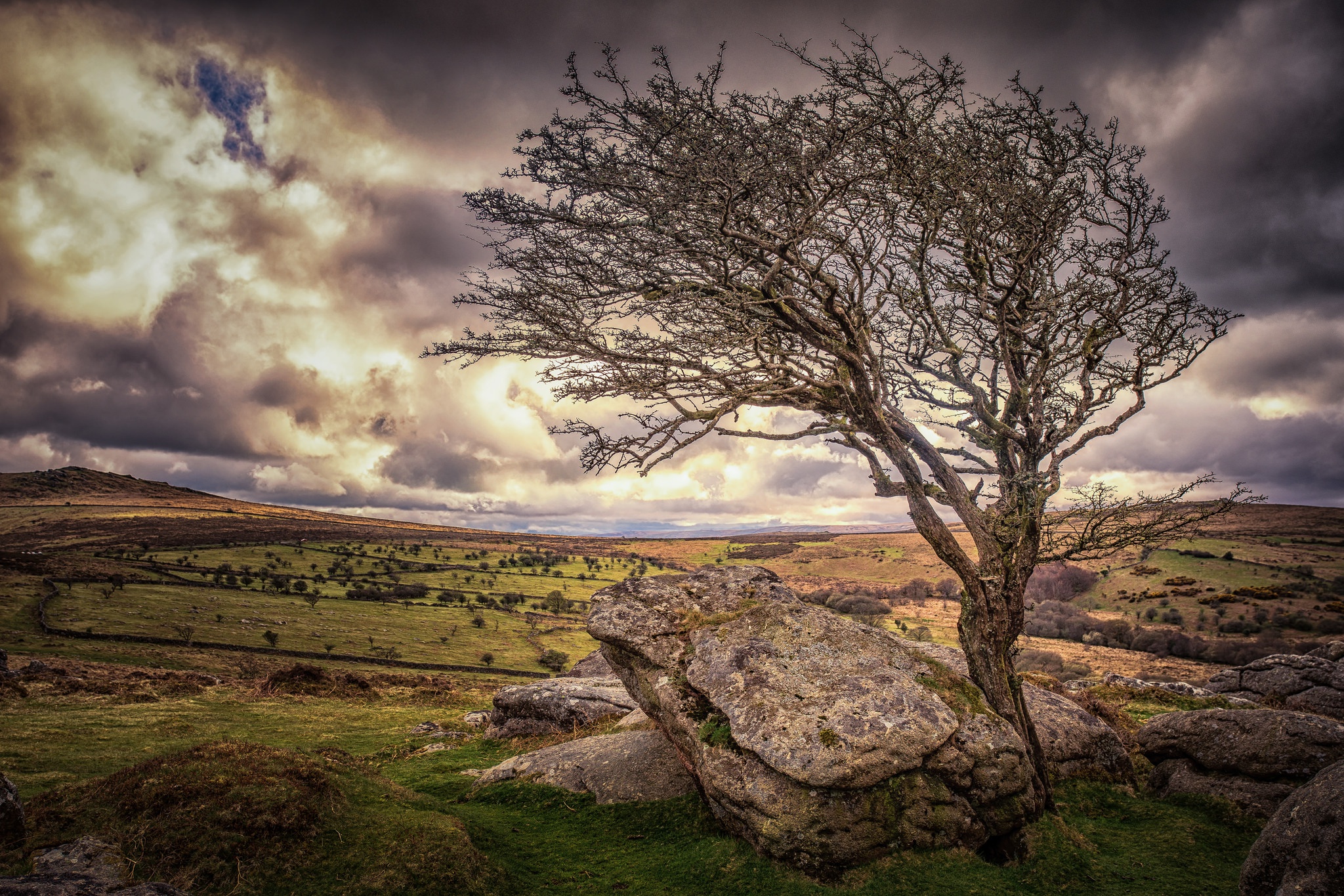 Handy-Wallpaper Landschaft, Natur, Baum, Erde/natur kostenlos herunterladen.