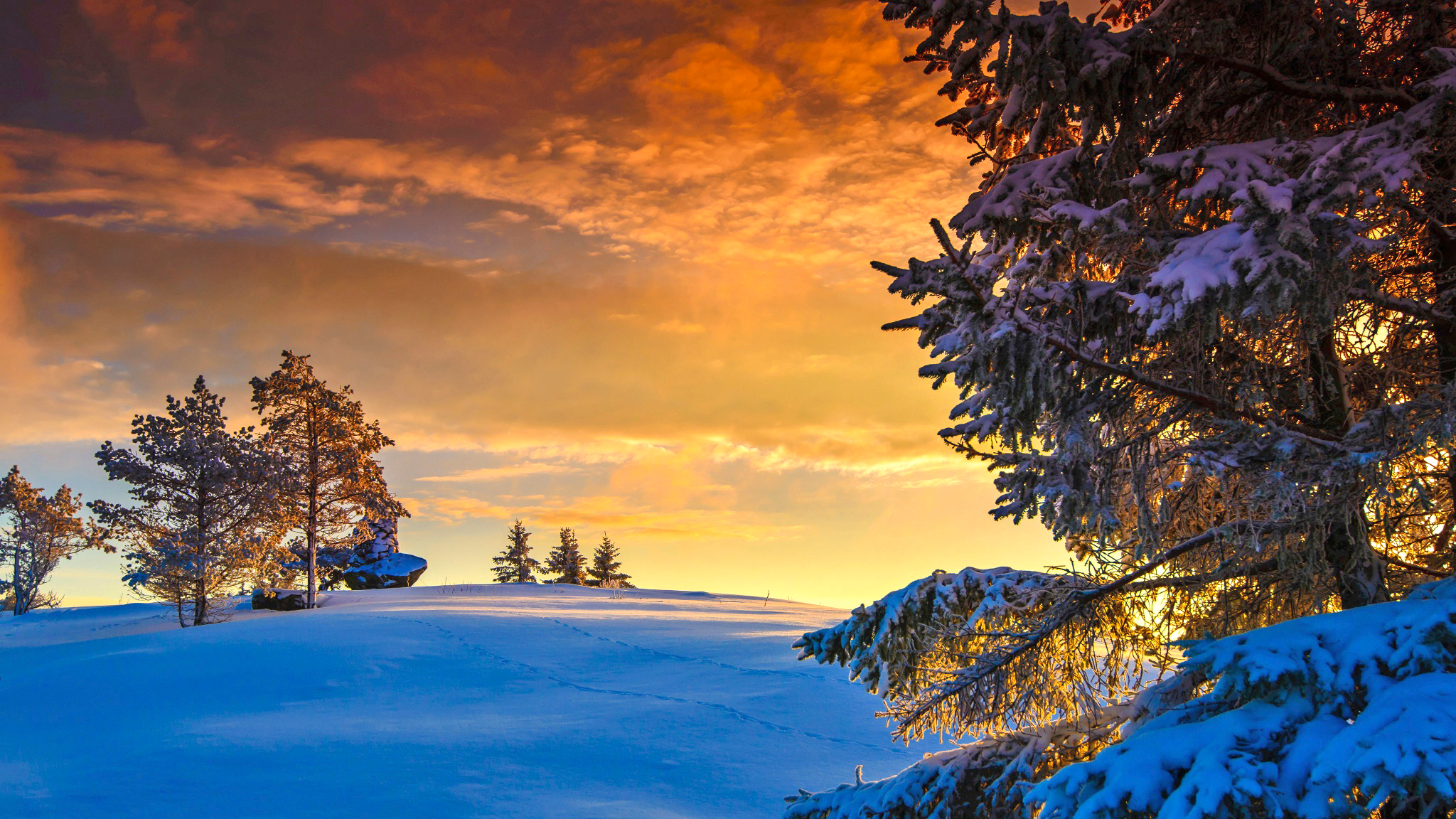 Скачать обои бесплатно Зима, Природа, Закат, Облака, Снег, Дерево, Ландшафт, Земля/природа картинка на рабочий стол ПК