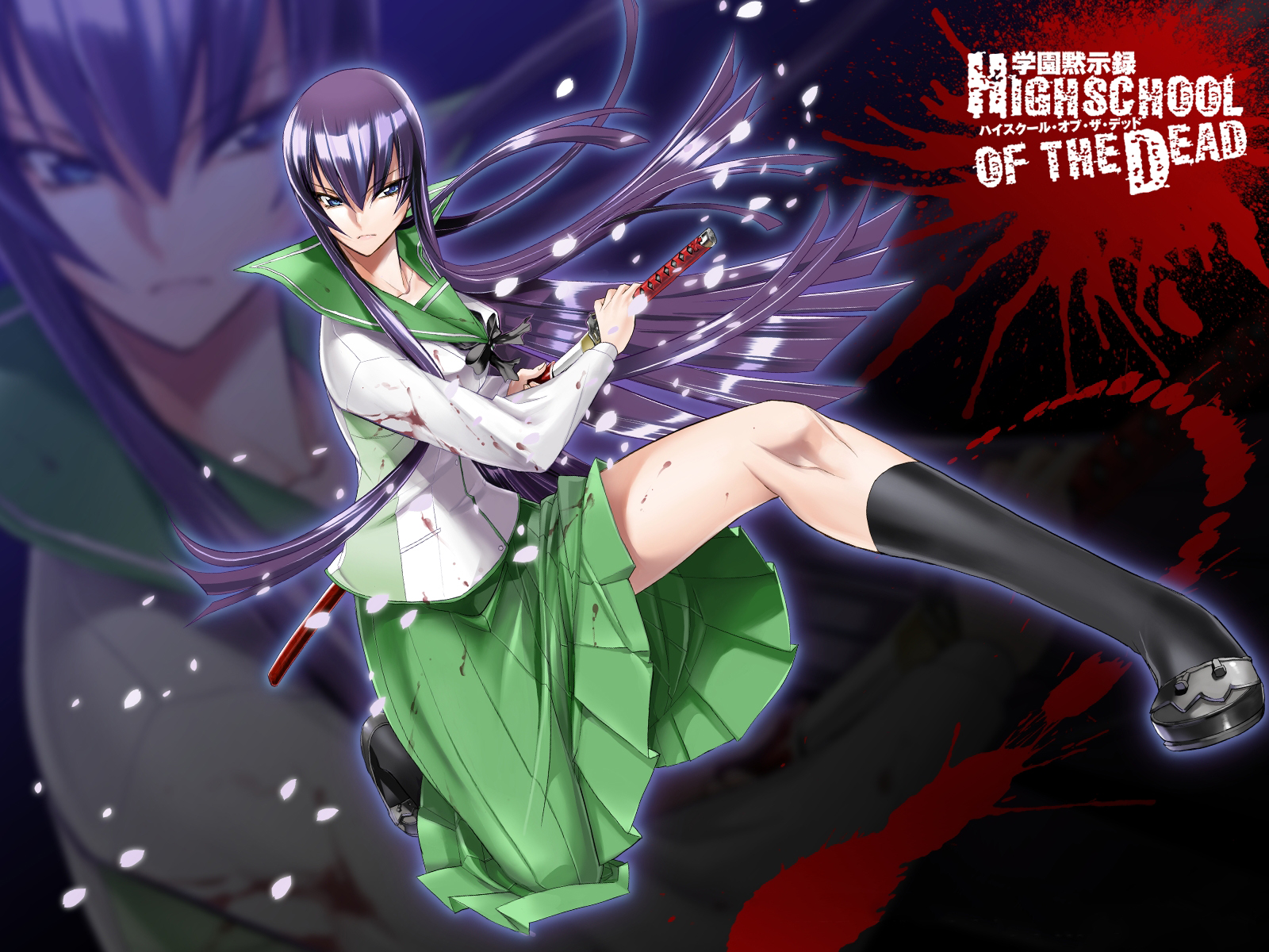 Free download wallpaper Anime, Saeko Busujima, Highschool Of The Dead on your PC desktop