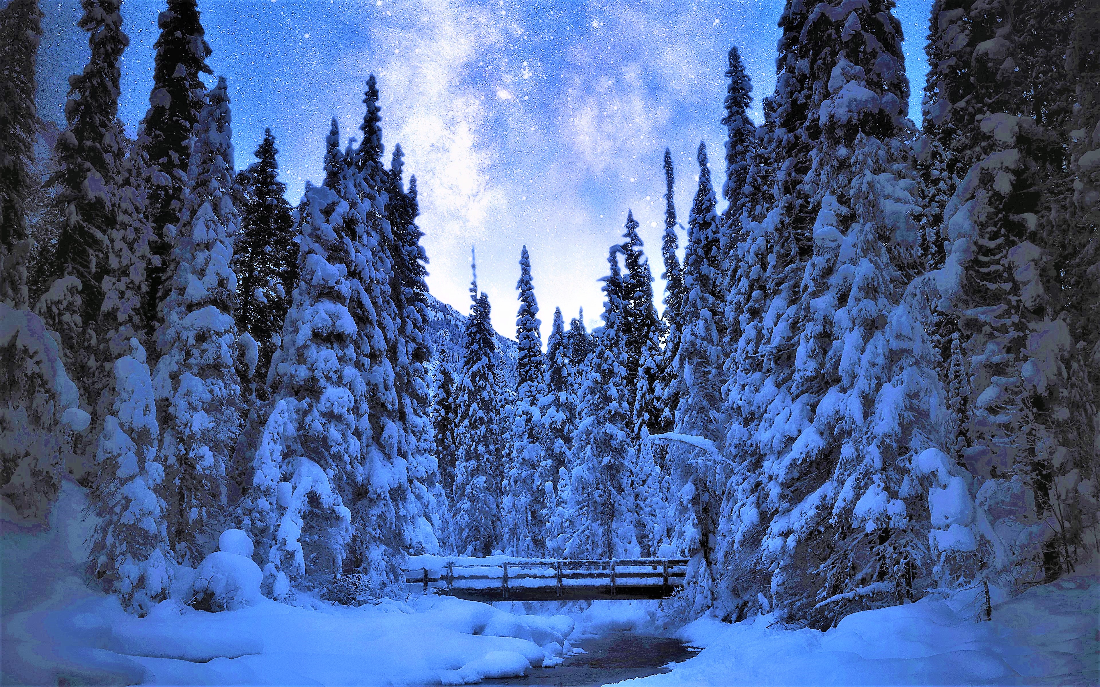 Free download wallpaper Winter, Snow, Forest, Tree, Earth, Bridge, River on your PC desktop