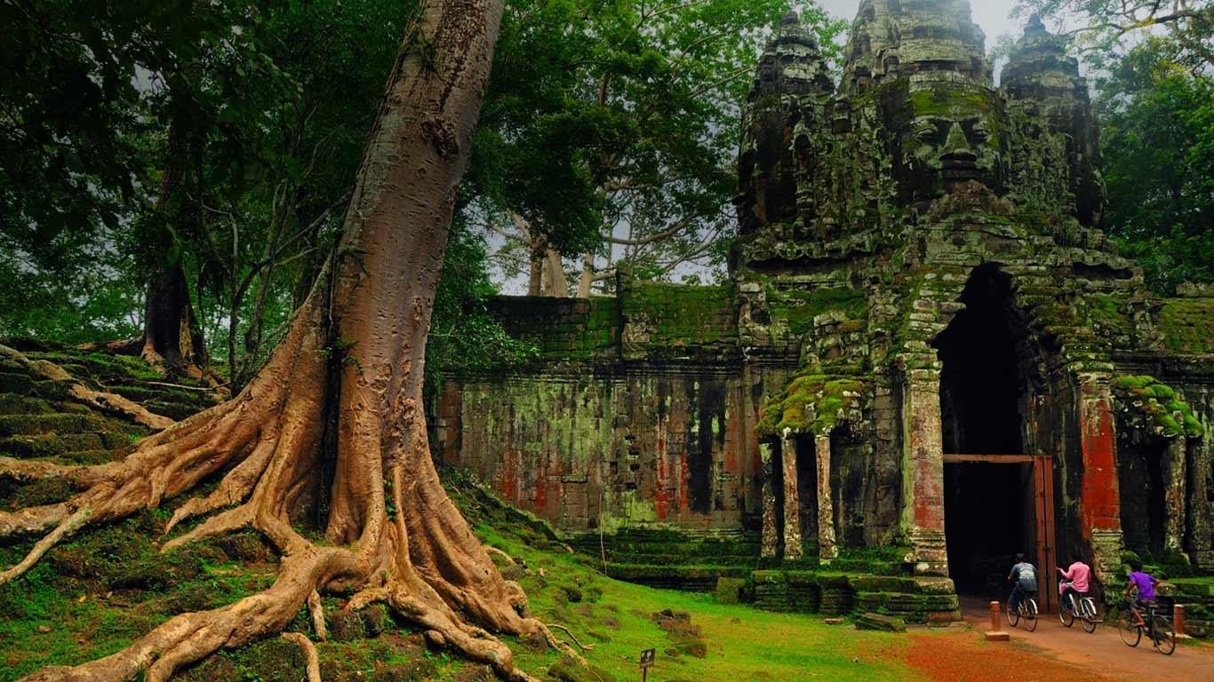 Die besten Angkor Thom-Hintergründe für den Telefonbildschirm