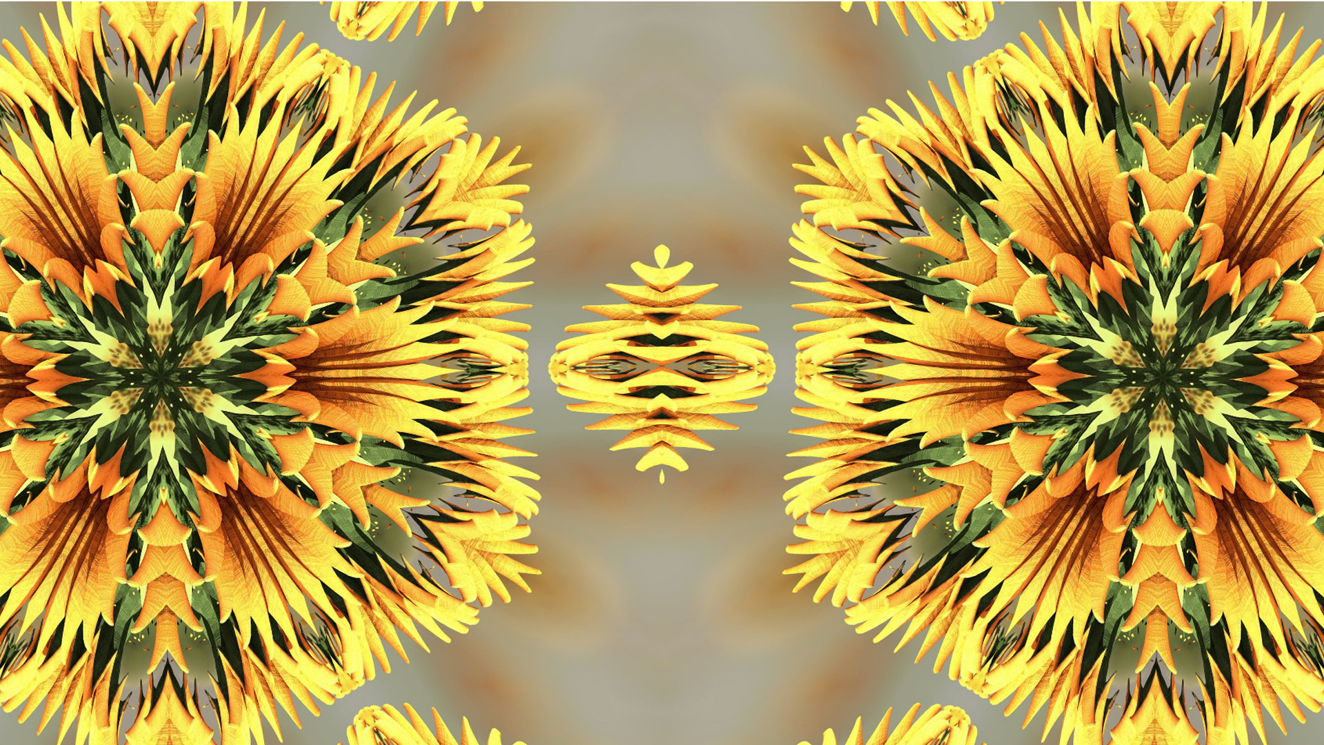無料モバイル壁紙パターン, 花, 色, 概要, 黄色, 万華鏡をダウンロードします。
