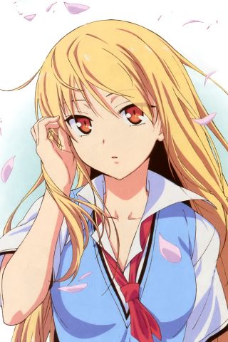 Handy-Wallpaper Blond, Blondinen, Animes, Orangefarbene Augen, Mashiro Shiina, Sakurasou No Pet Na Kanojo kostenlos herunterladen.
