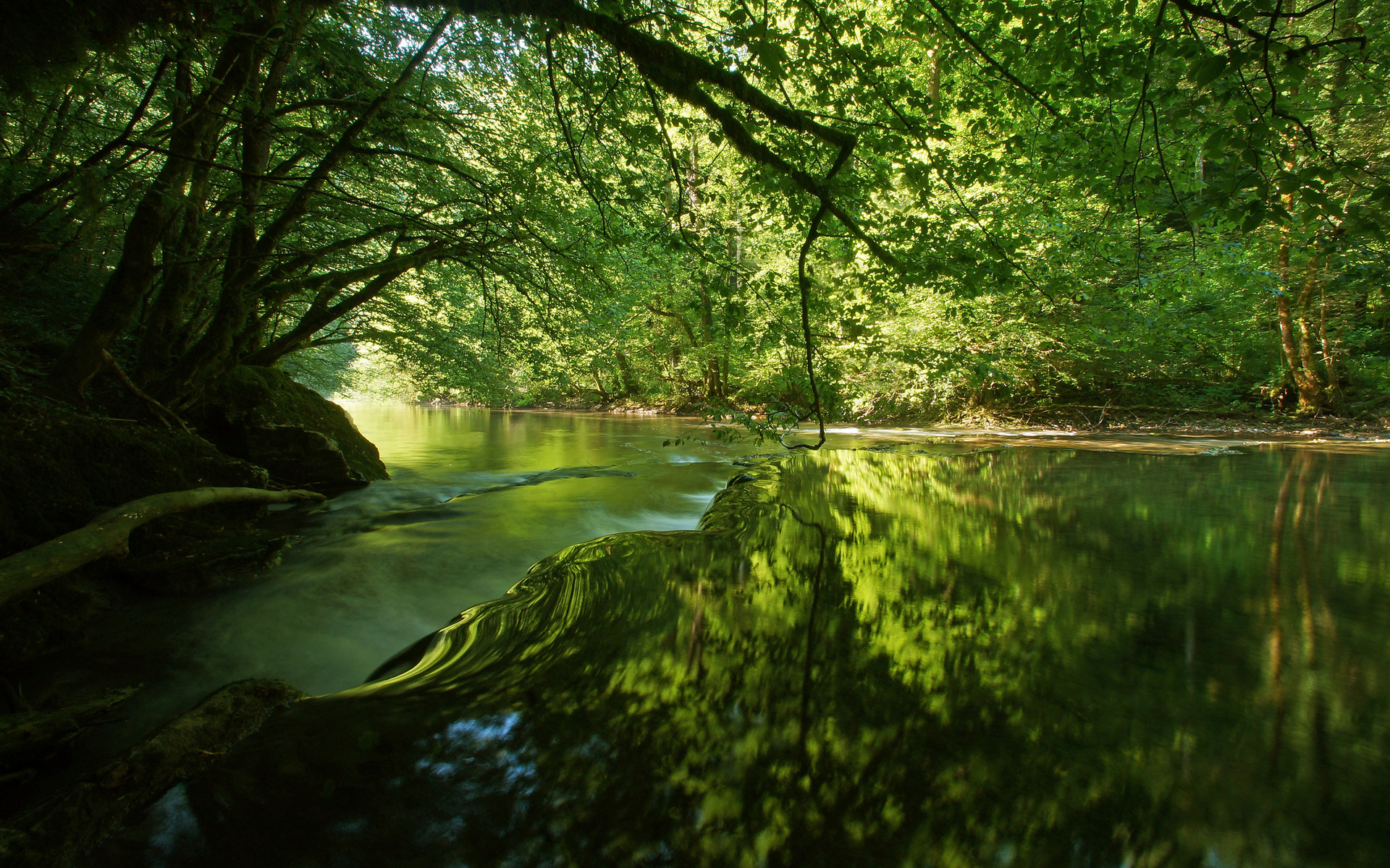 Laden Sie das Wasser, Wald, Baum, Fluss, Szene, Erde/natur, Spiegelung-Bild kostenlos auf Ihren PC-Desktop herunter