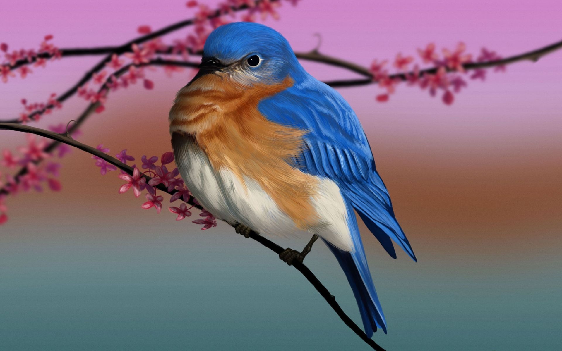 Популярные заставки и фоны Восточная Синяя Птица на компьютер