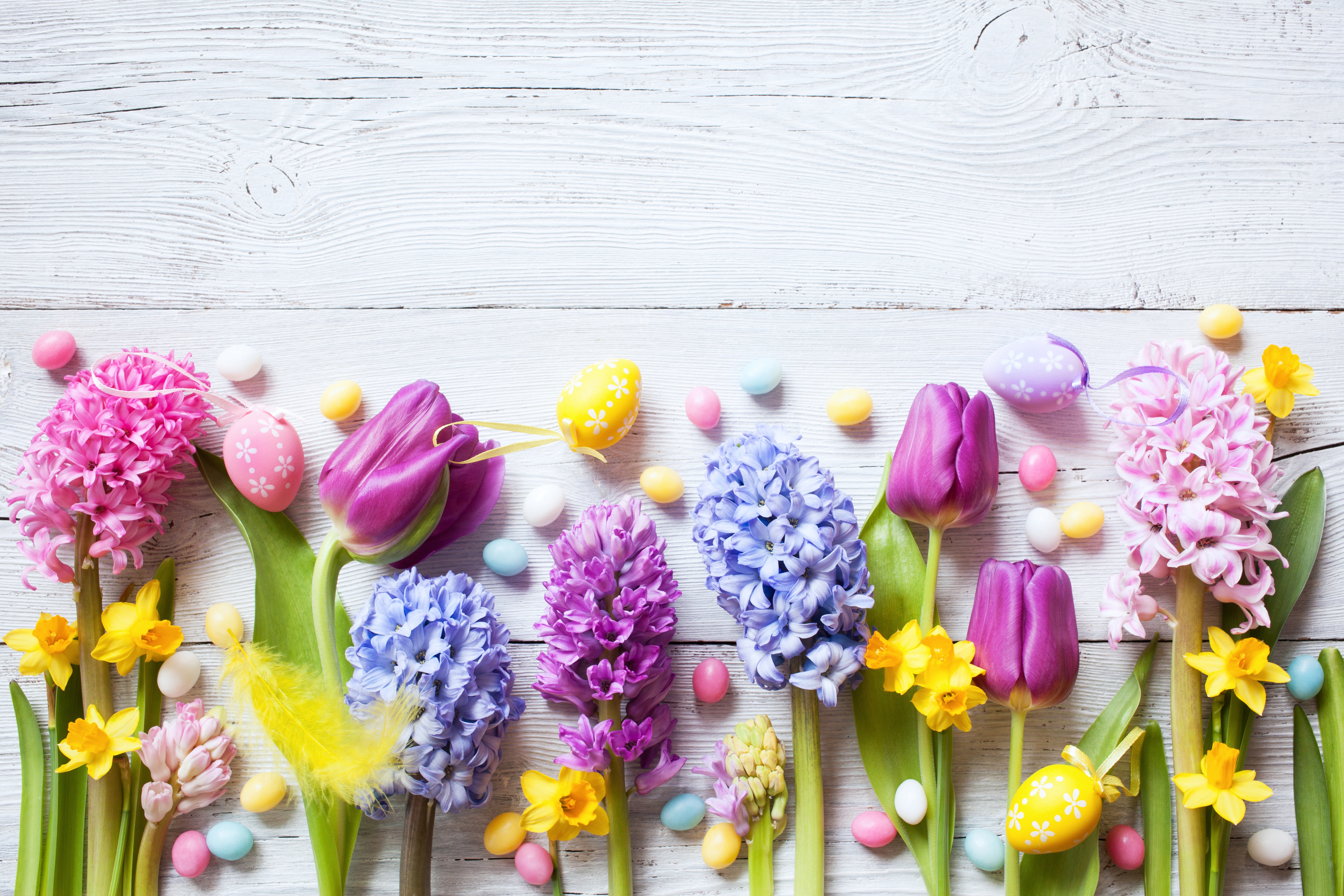 Handy-Wallpaper Ostern, Narzissen, Blume, Tulpe, Gelbe Blume, Lila Blume, Menschengemacht, Pinke Blume, Blaue Blume kostenlos herunterladen.