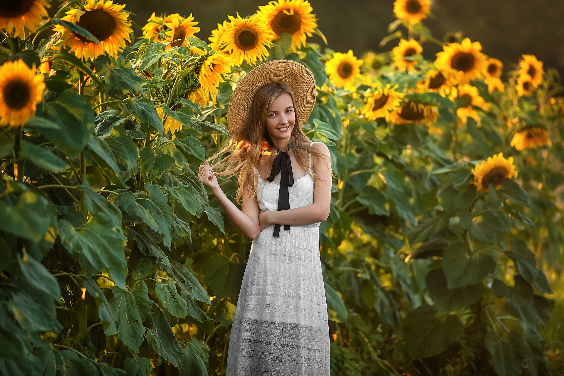 934241 Fonds d'écran et Tournesol images sur le bureau. Téléchargez les économiseurs d'écran  sur PC gratuitement