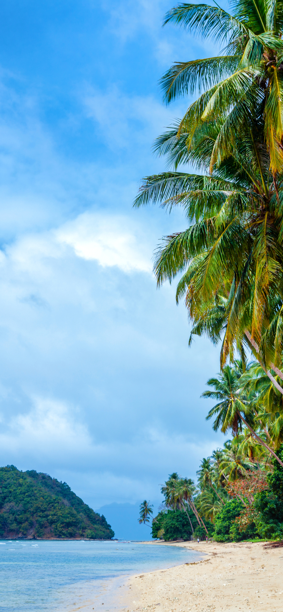 Download mobile wallpaper Sea, Beach, Ocean, Earth, Tropical, Philippines, Palm Tree for free.