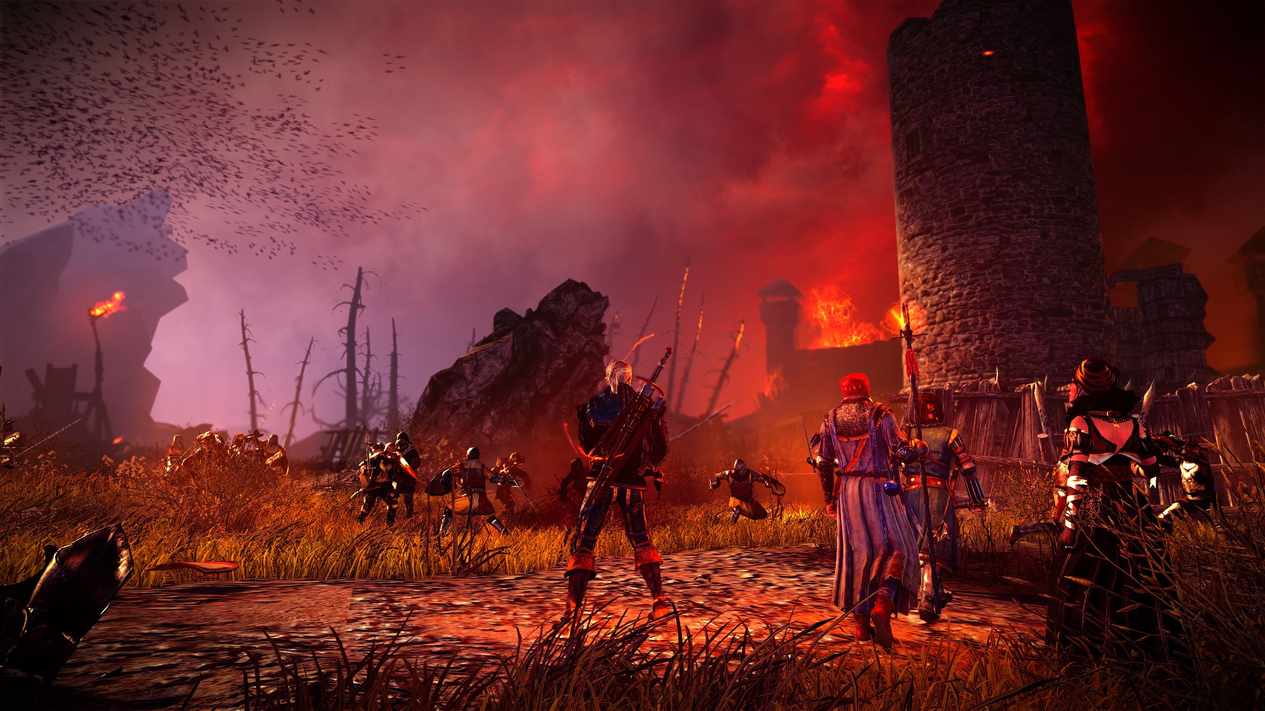 Baixar papel de parede para celular de Videogame, O Mago, The Witcher 2: Assassins Of Kings gratuito.